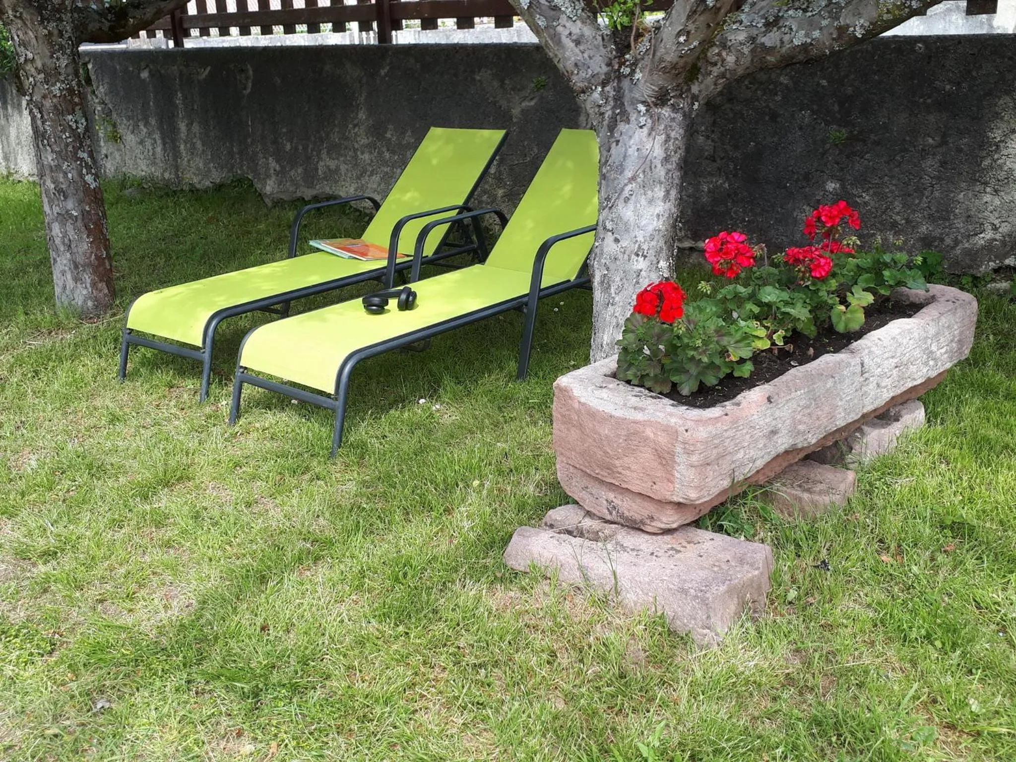 Garden in Hôtel Au Vieux Moulin