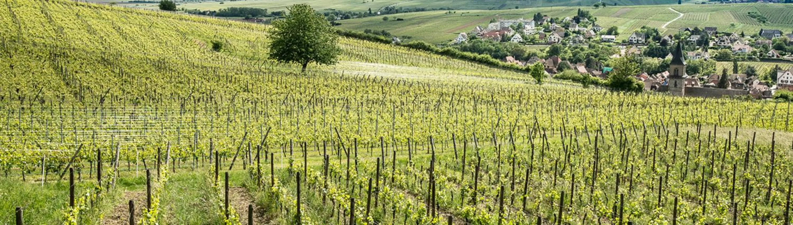 Natural landscape in Hôtel Au Vieux Moulin