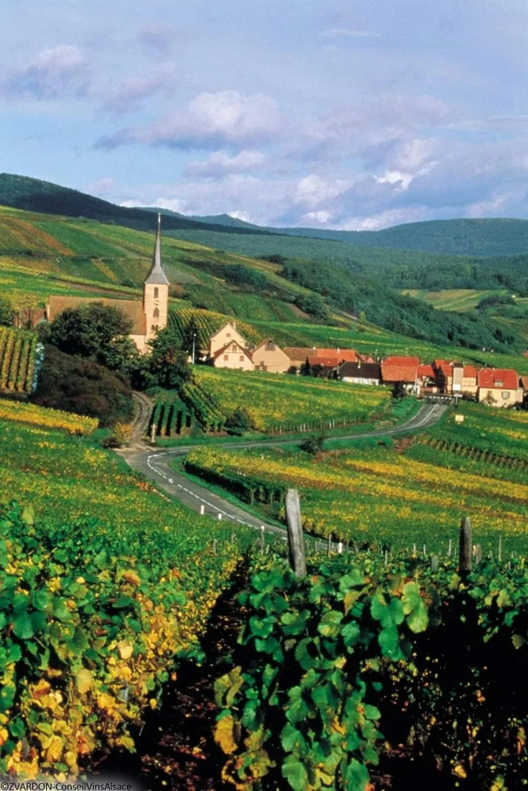 Summer in Hôtel Au Vieux Moulin