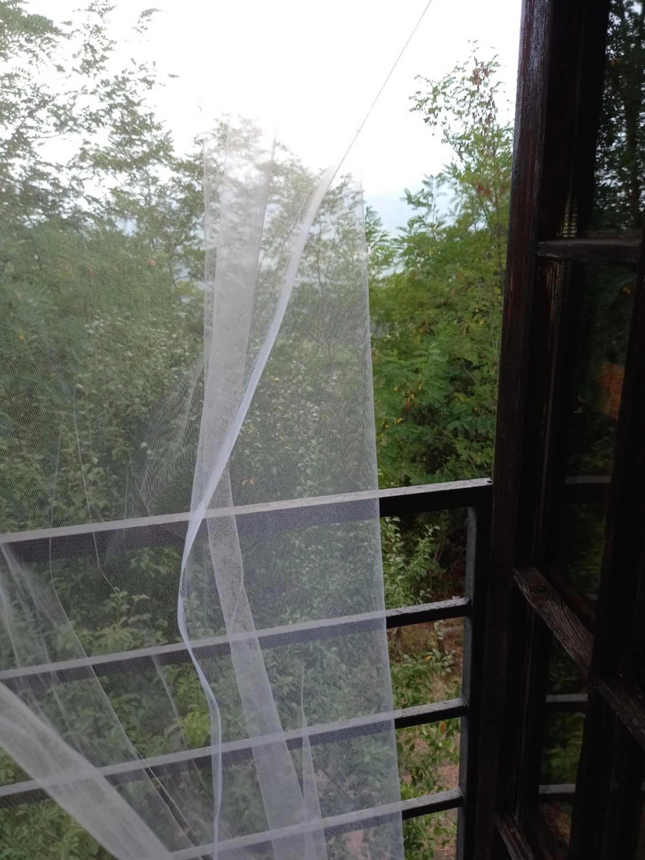 Natural landscape in La casa nel bosco