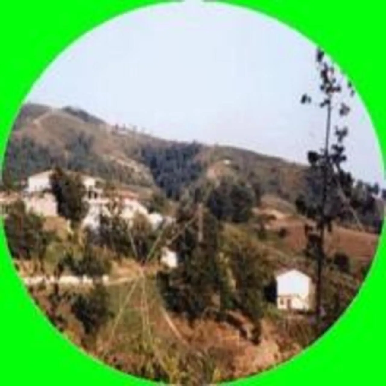 View (from property/room) in La casa nel bosco