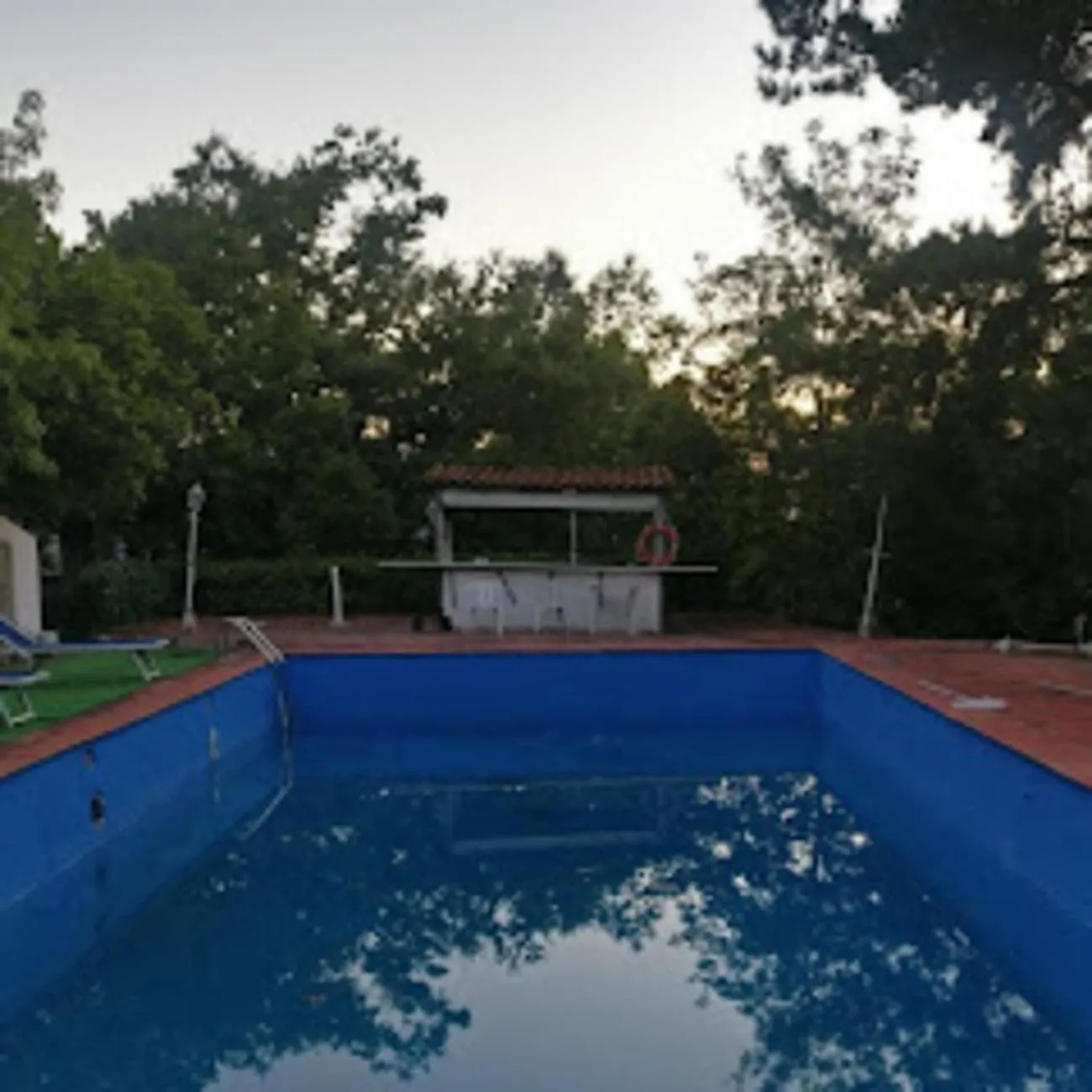 Swimming pool in La casa nel bosco