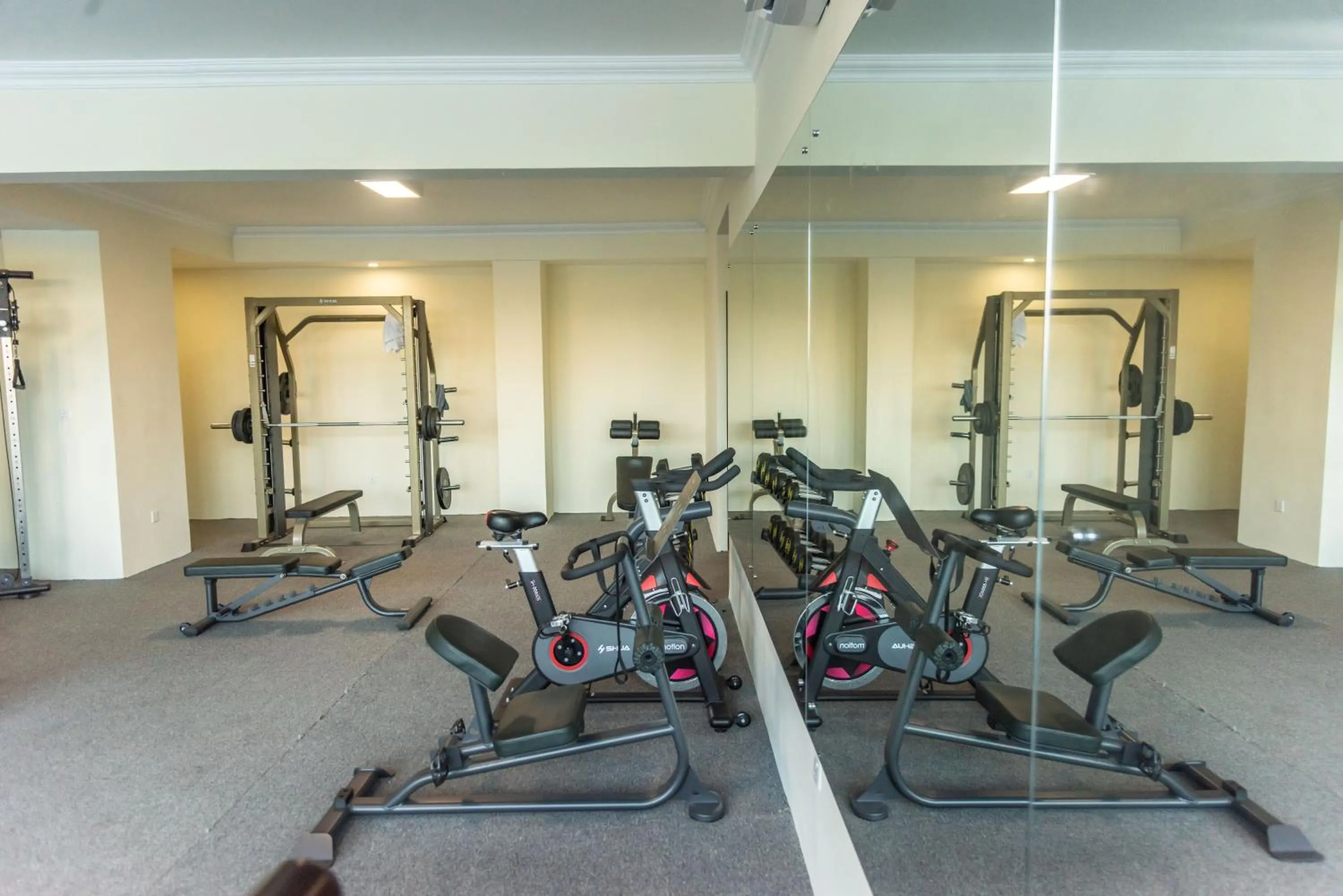 Fitness centre/facilities in Pauraque Soho Hotel