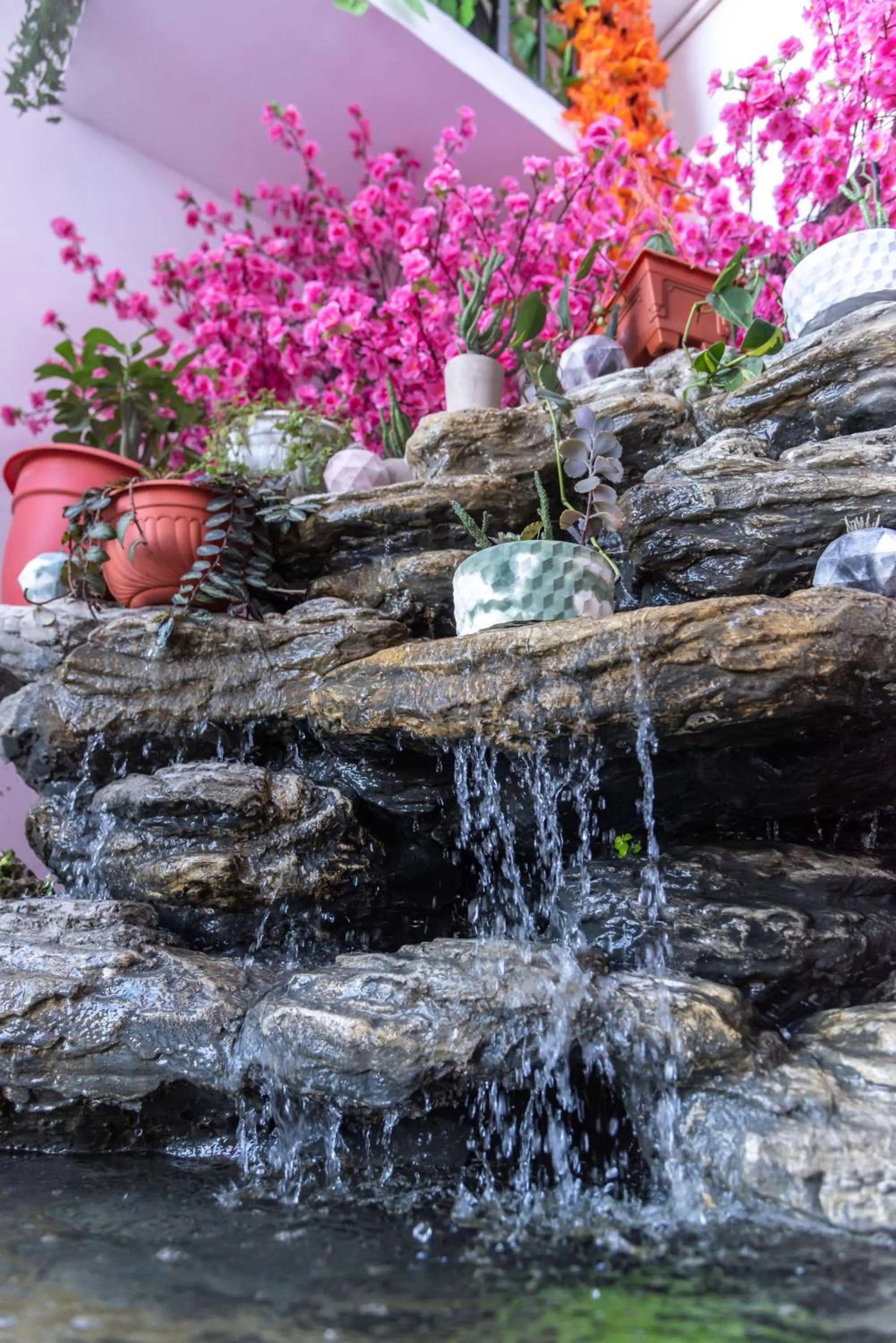 Garden in Pauraque Soho Hotel