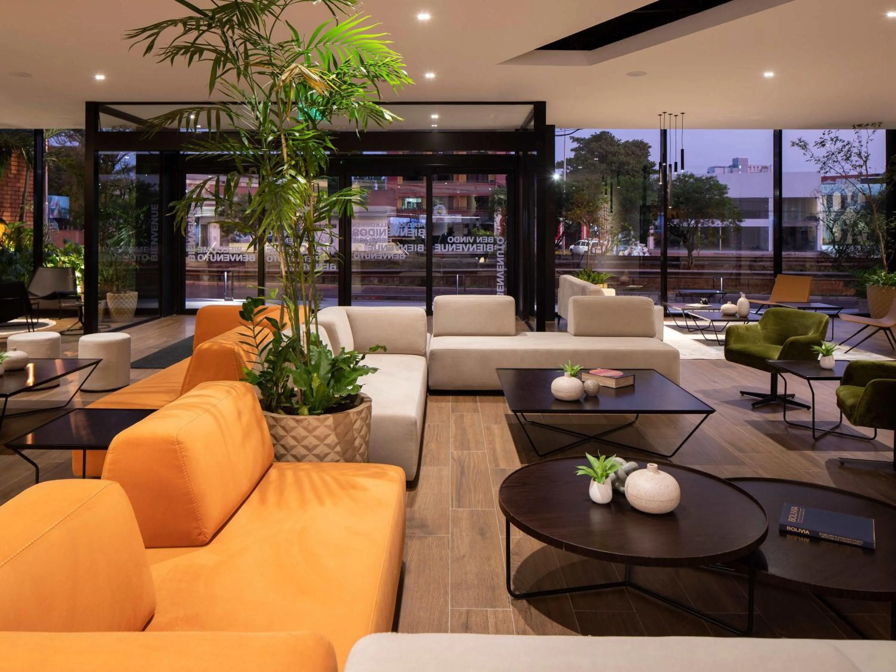 Other in ibis Santa Cruz de la Sierra