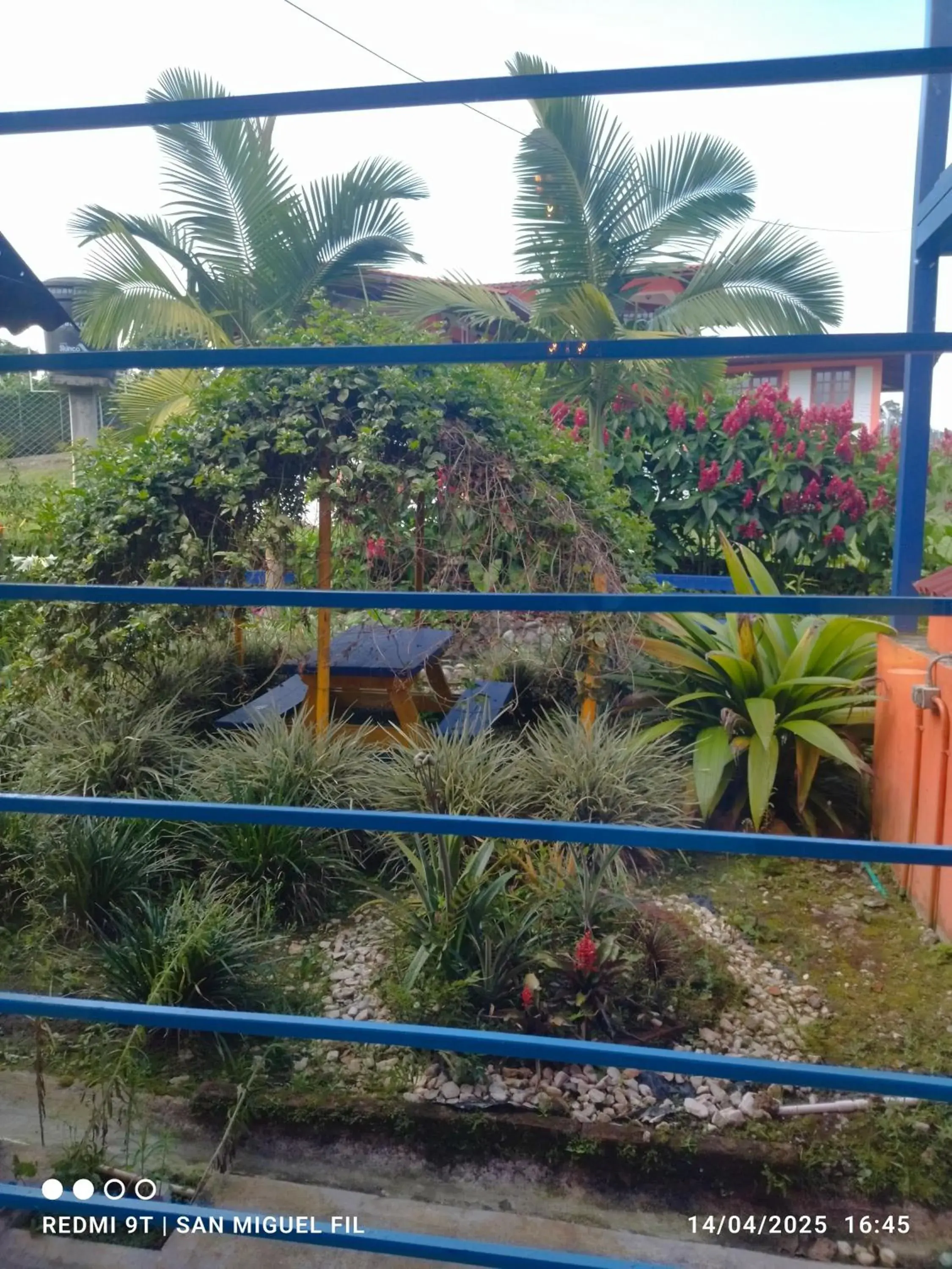 Double Room with Private Bathroom in Finca San Miguel Filandia Double Room with Private Bathroom in Finca San Miguel Filandia