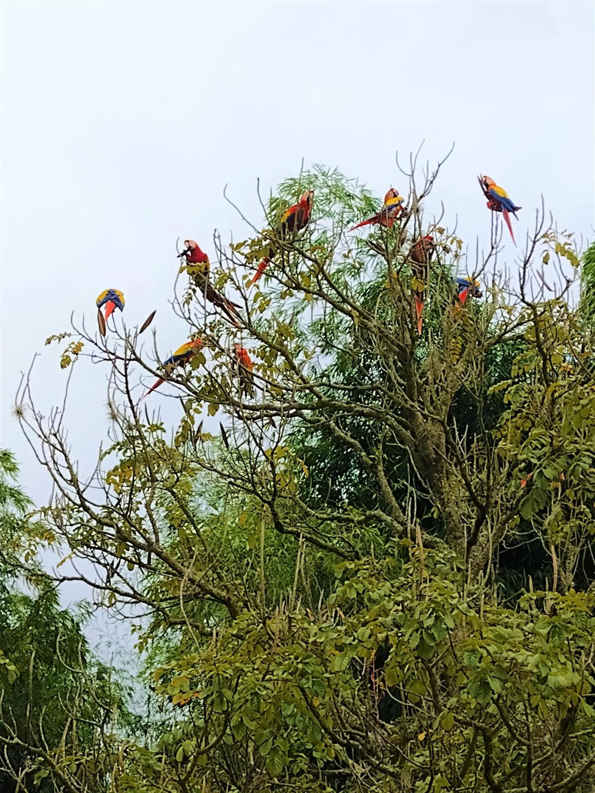 Natural landscape in Villa Juana Hotel