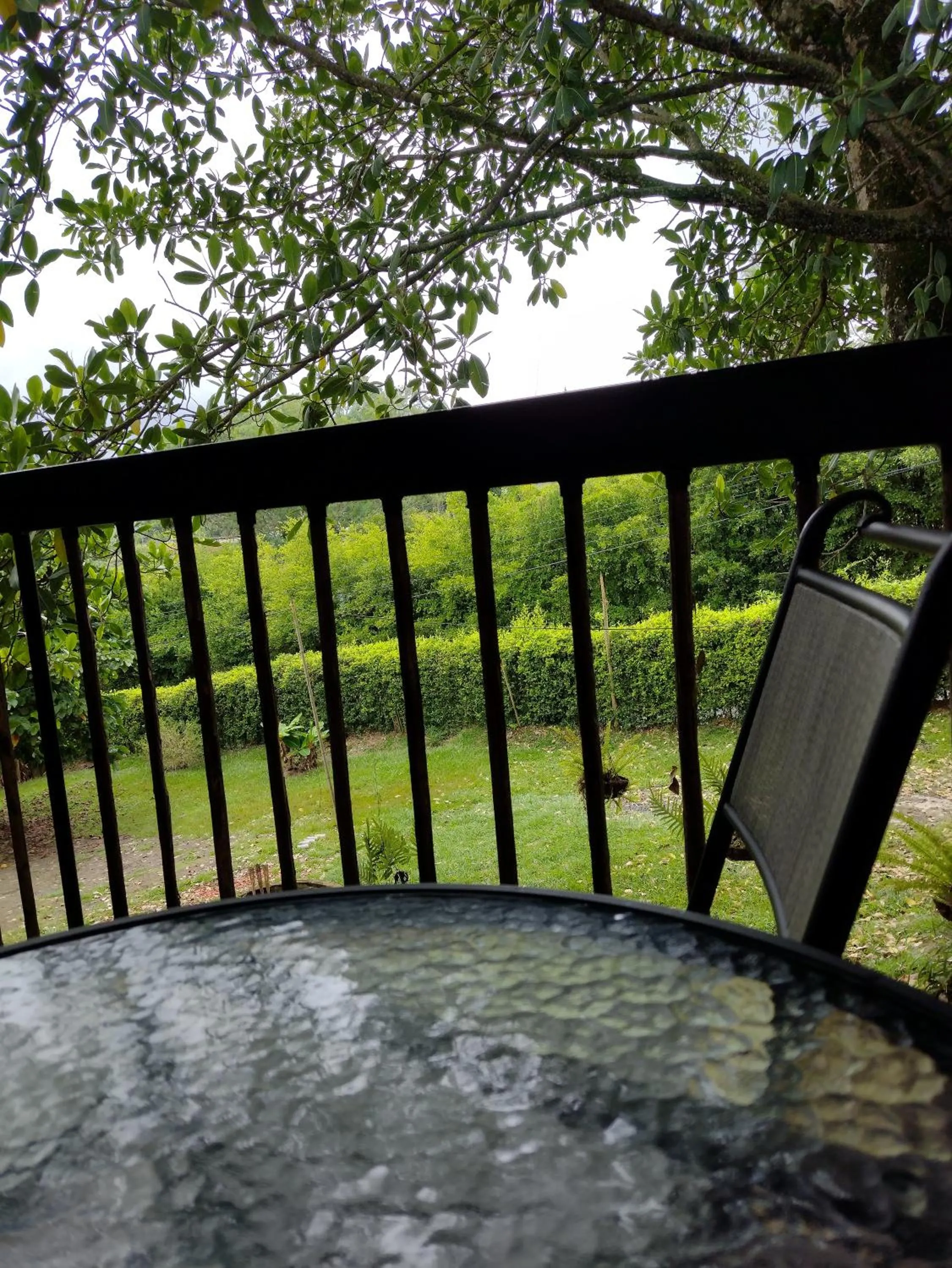 Garden view in Villa Juana Hotel