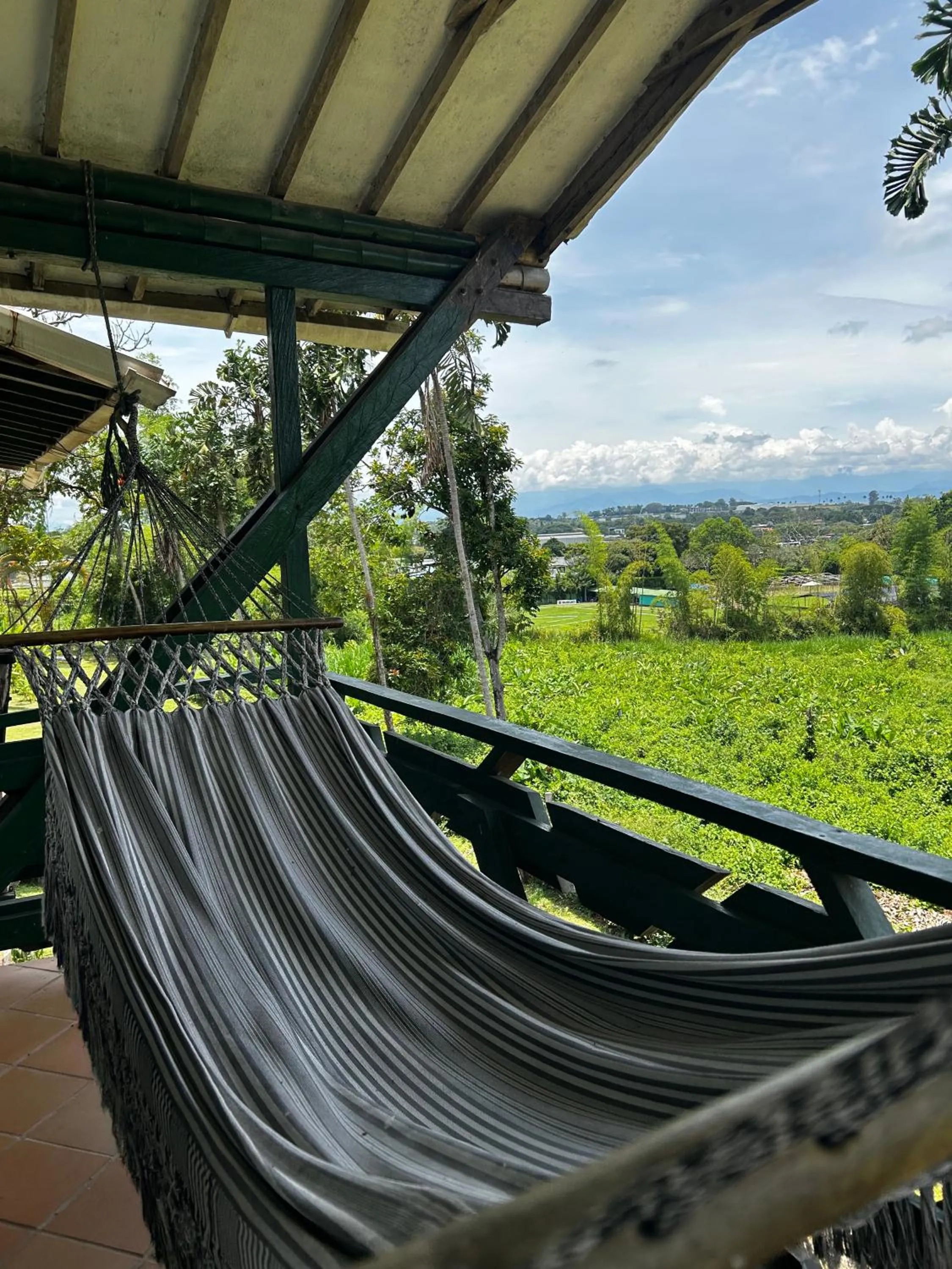 View (from property/room) in Villa Juana Hotel