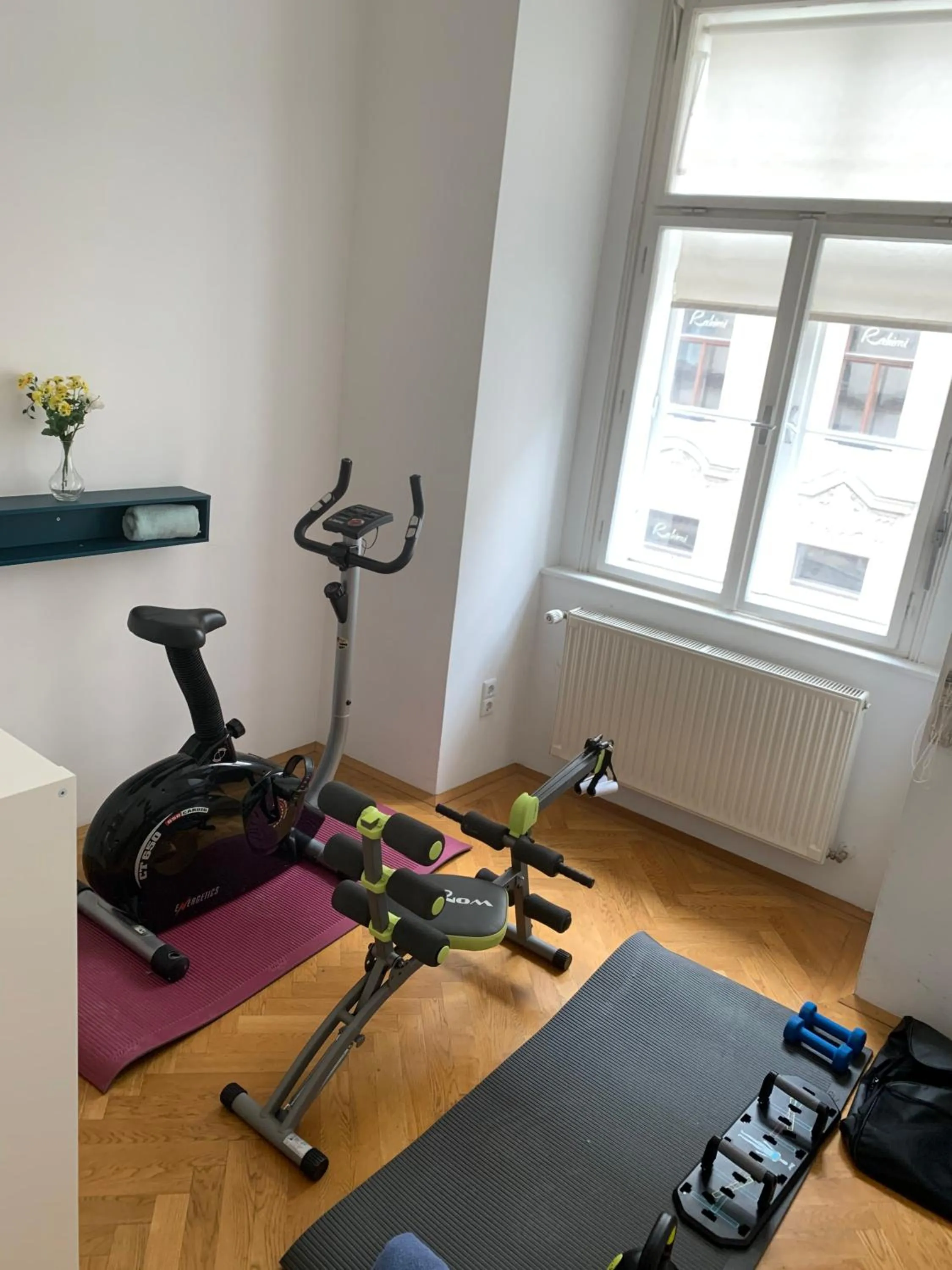 Fitness centre/facilities in Sobieski Stefansdom Apartments