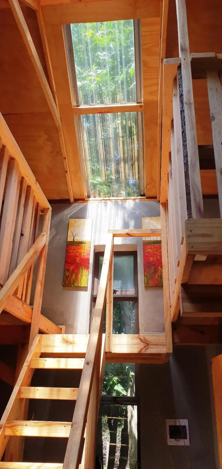 Photo of the whole room in Little Forest Farm