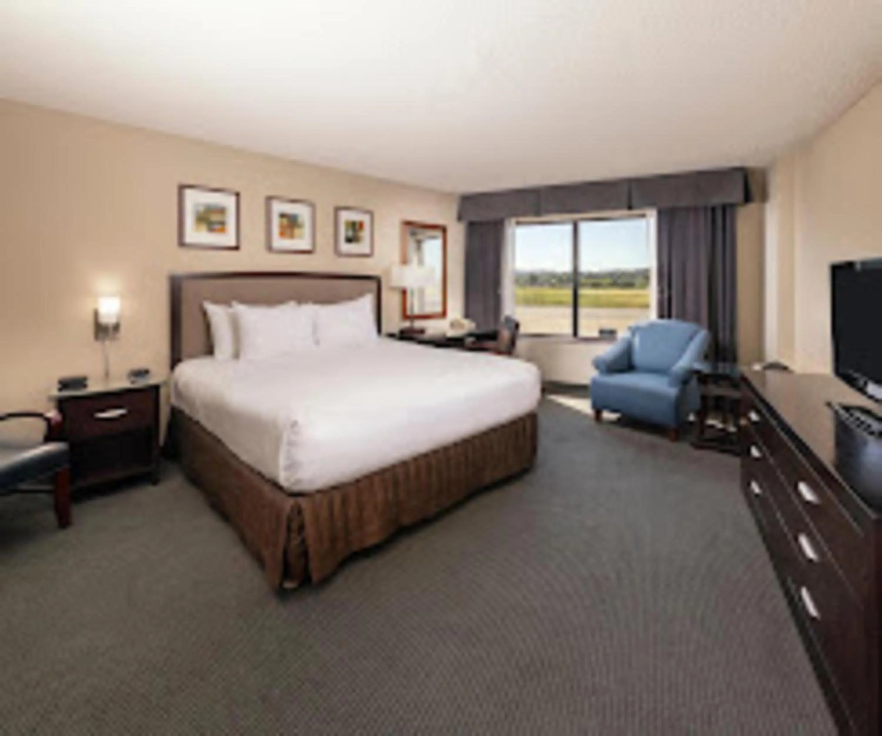 Bedroom, Bed in Concord Plaza Hotel