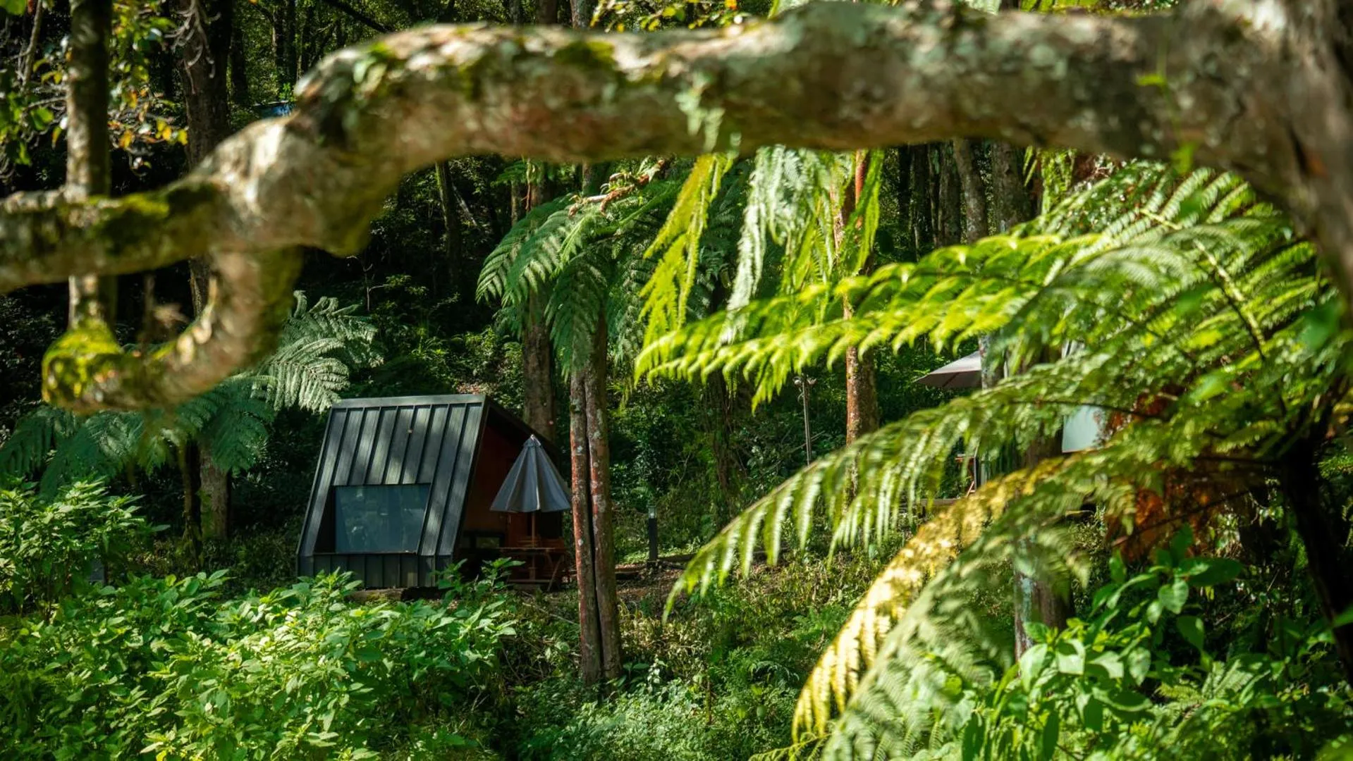 Property building in Bobocabin Ranca Upas, Bandung