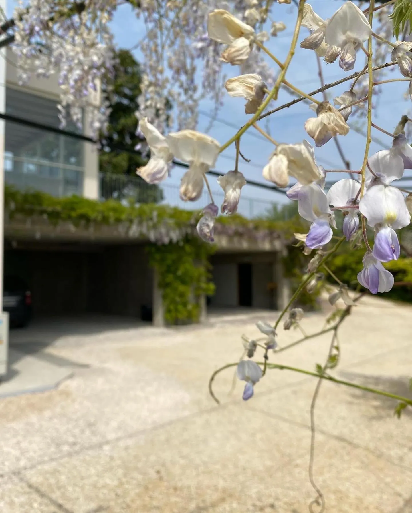 Parking in ROSETO HOLIDAYS AZZURRO