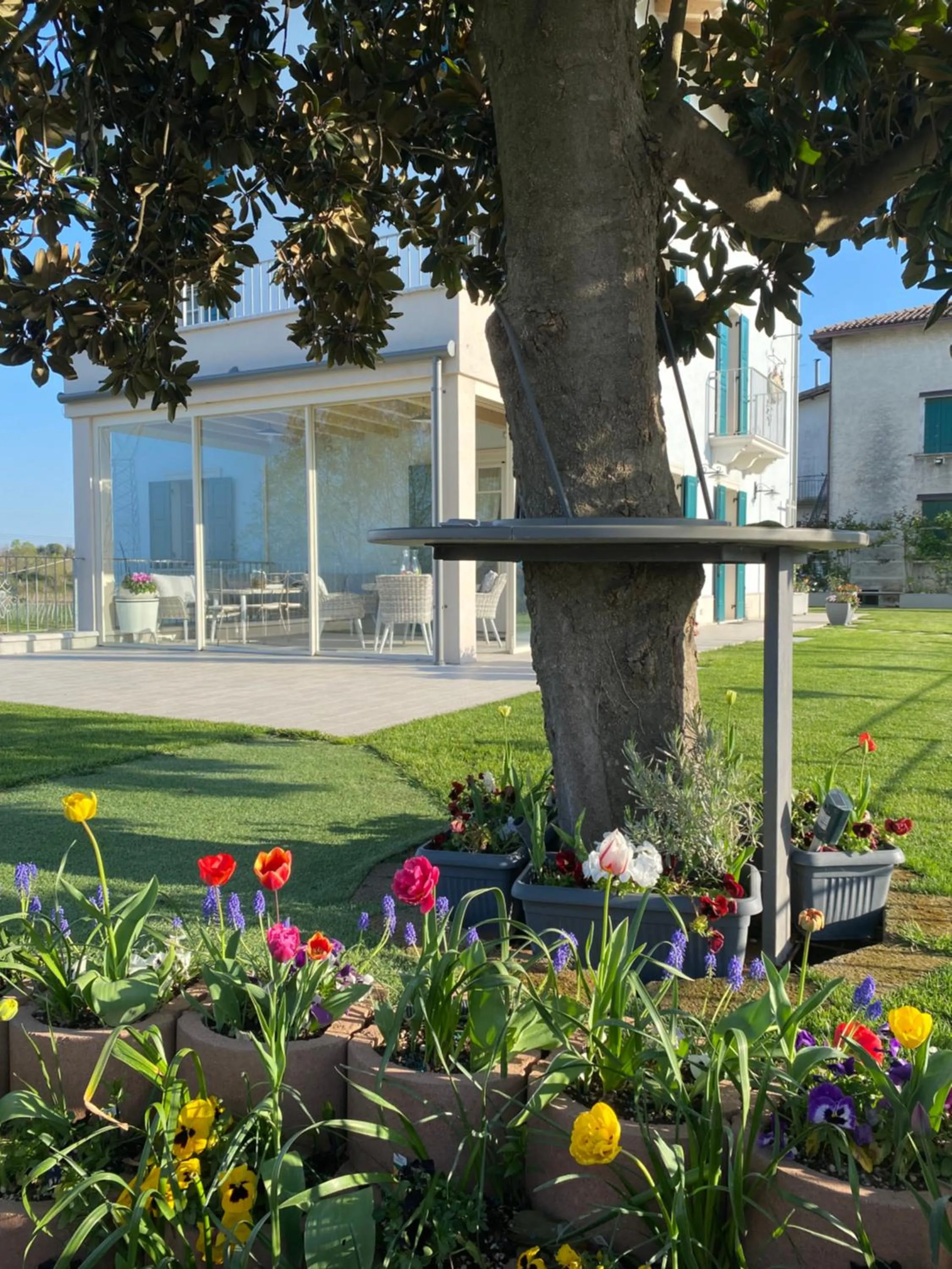 Garden view in ROSETO HOLIDAYS AZZURRO