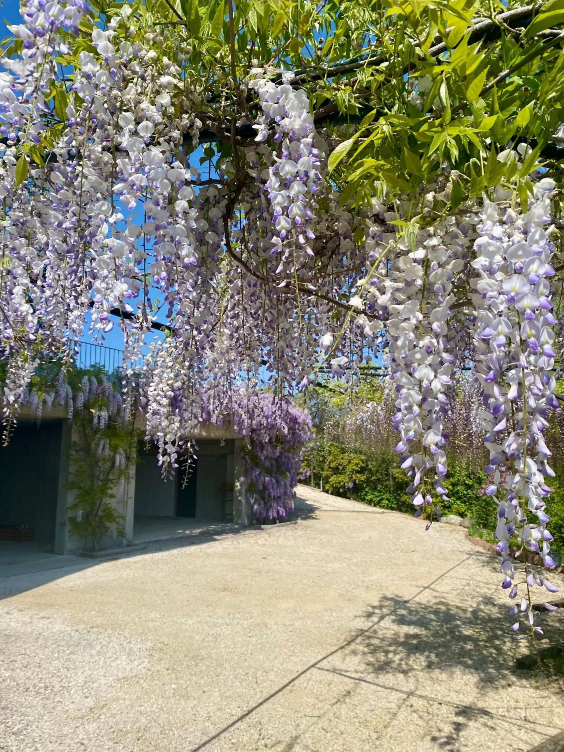 Parking in ROSETO HOLIDAYS AZZURRO