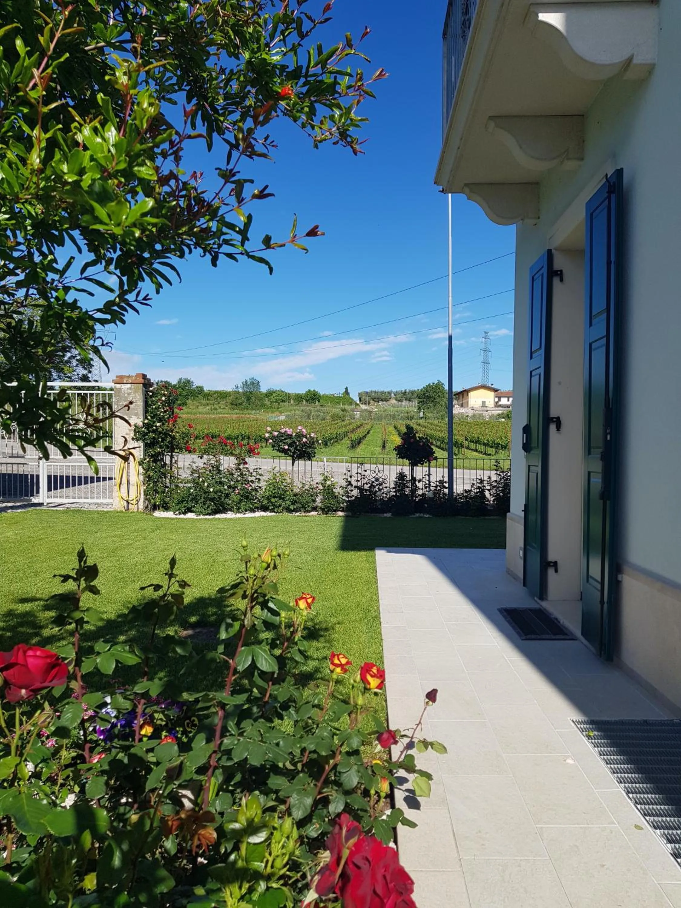 Garden in ROSETO HOLIDAYS AZZURRO