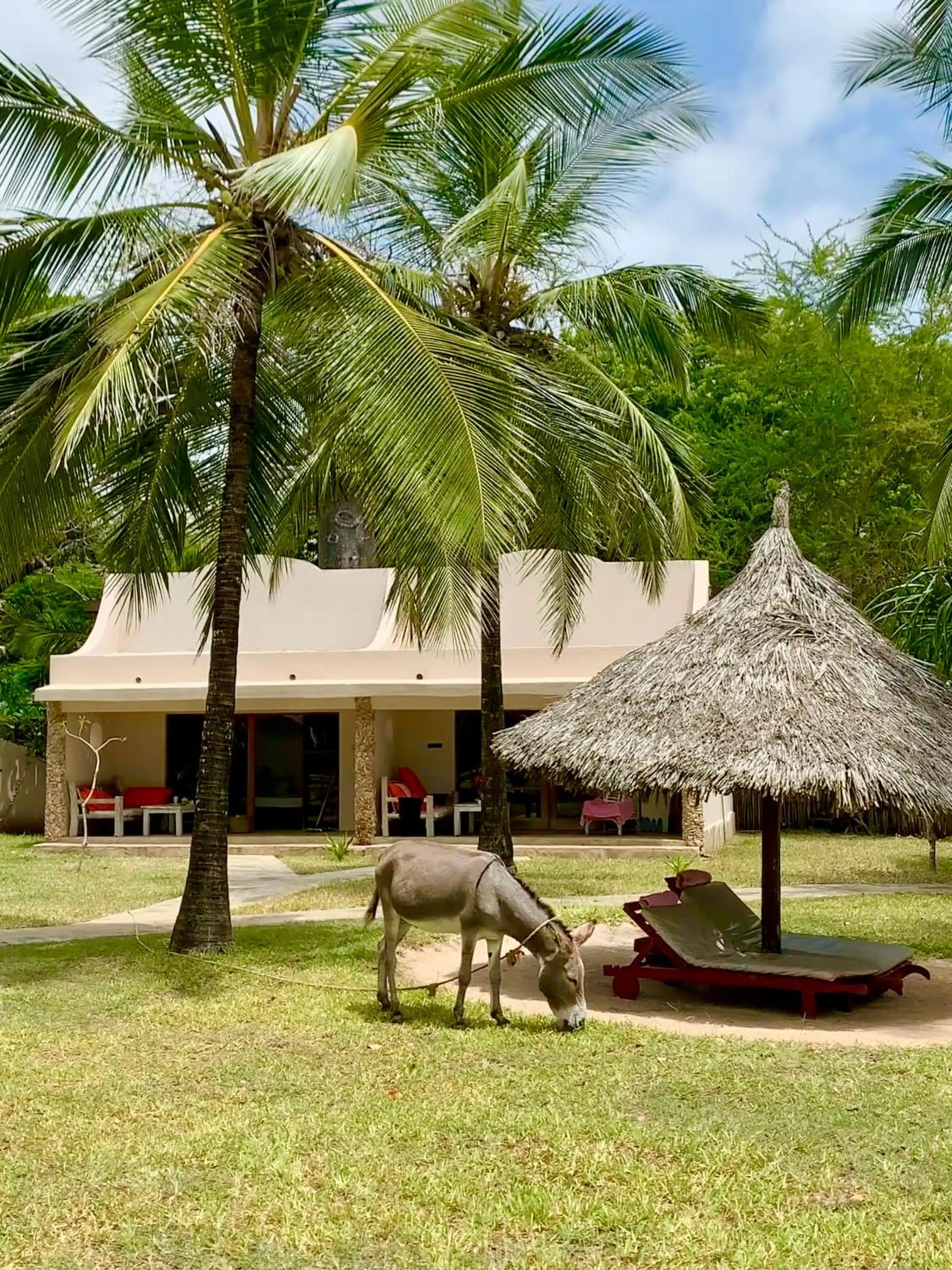 Garden in Eleven Pearl Boutique Hotel & Spa