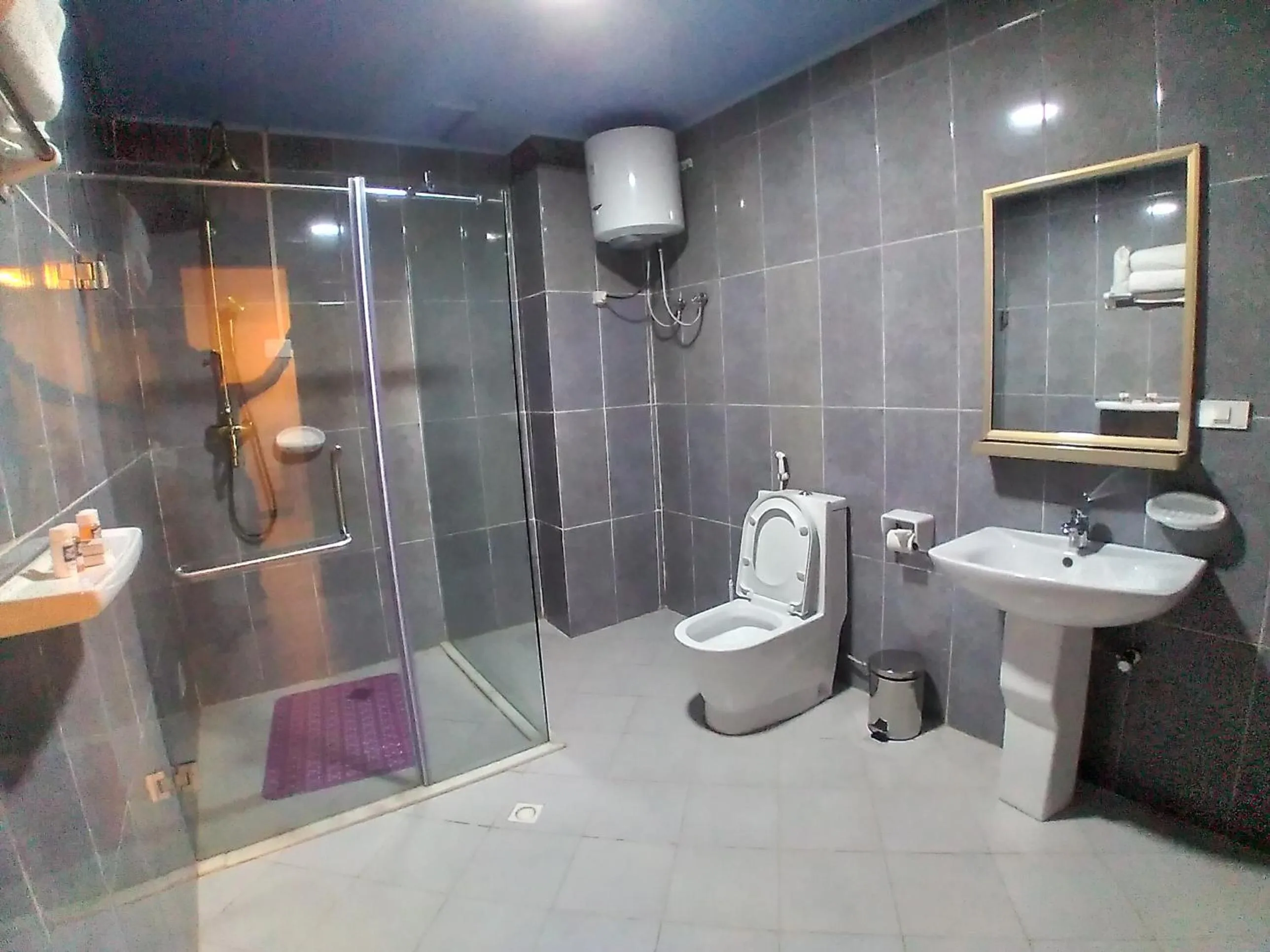 Toilet in Daisy Hotel