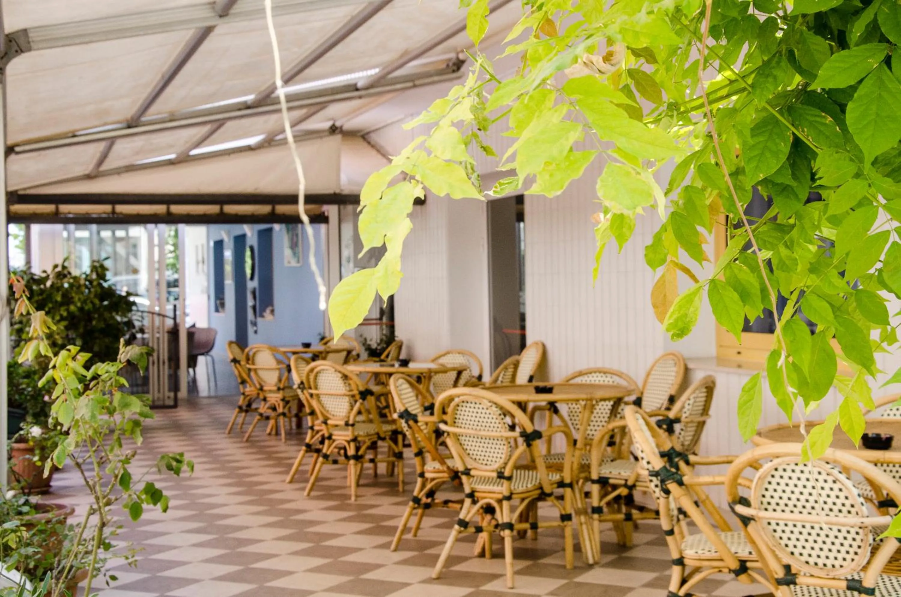 Garden in Hotel Stella Alpina