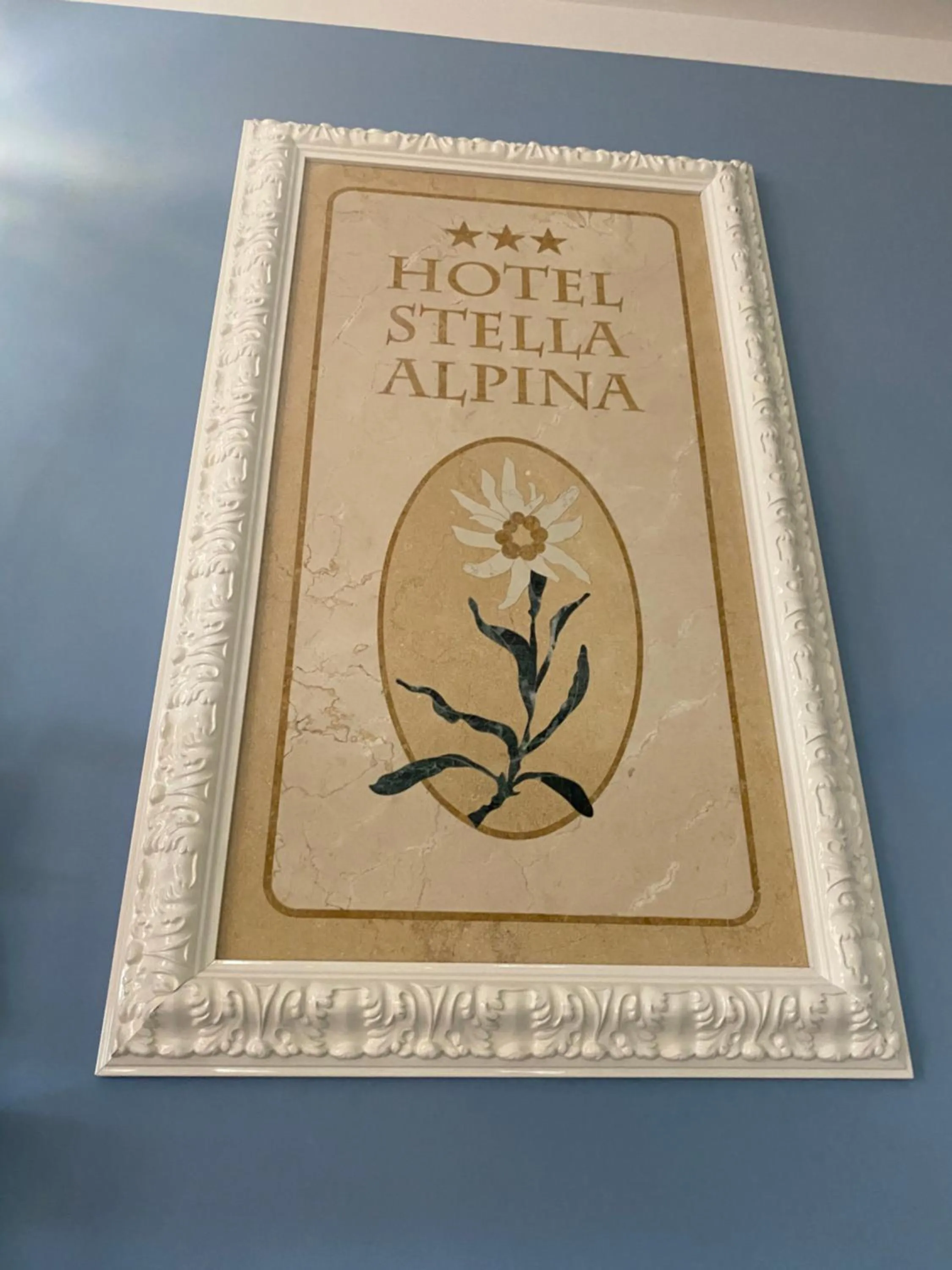 Property logo or sign in Hotel Stella Alpina