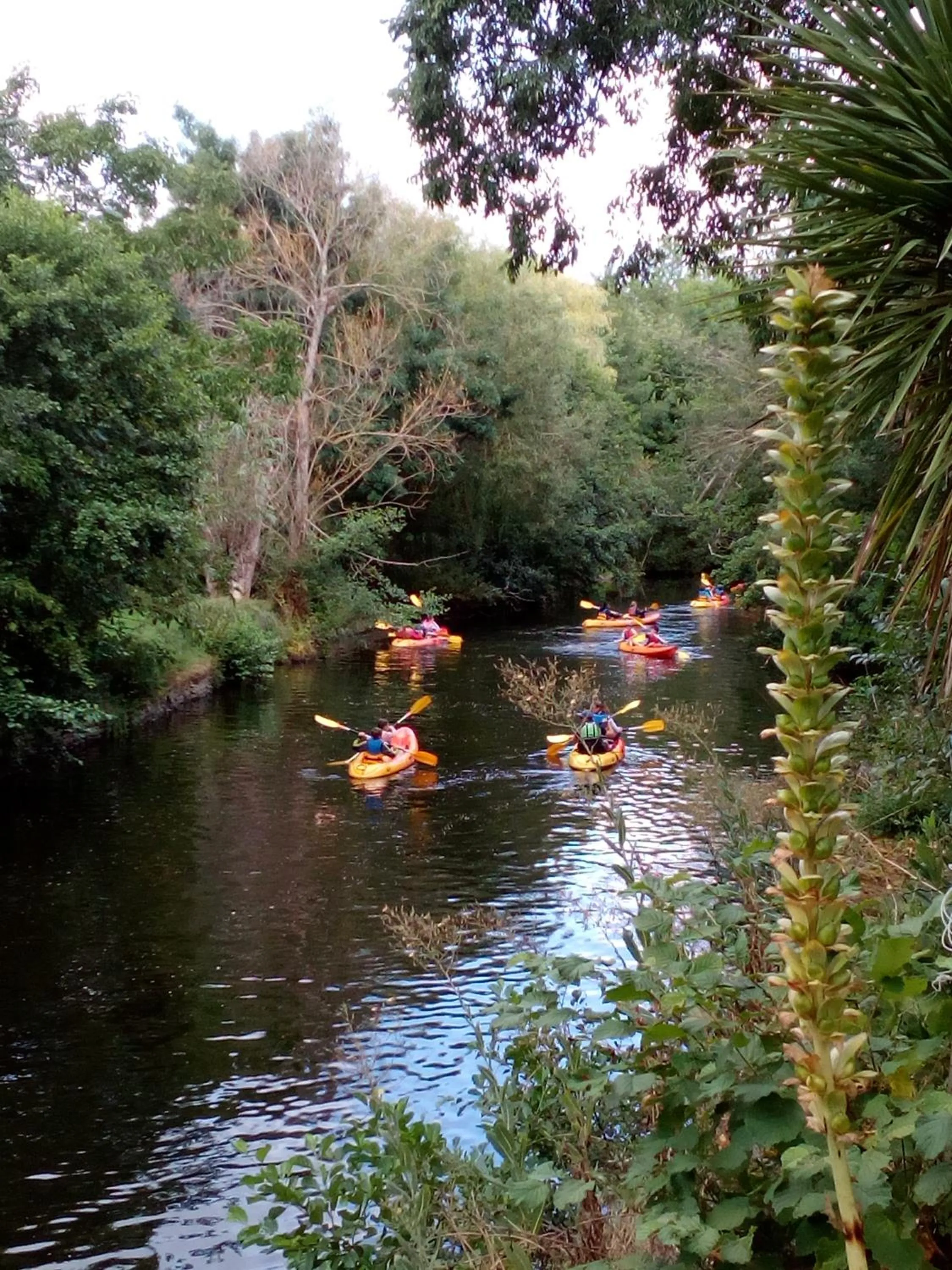 Activities in Les Cèdres