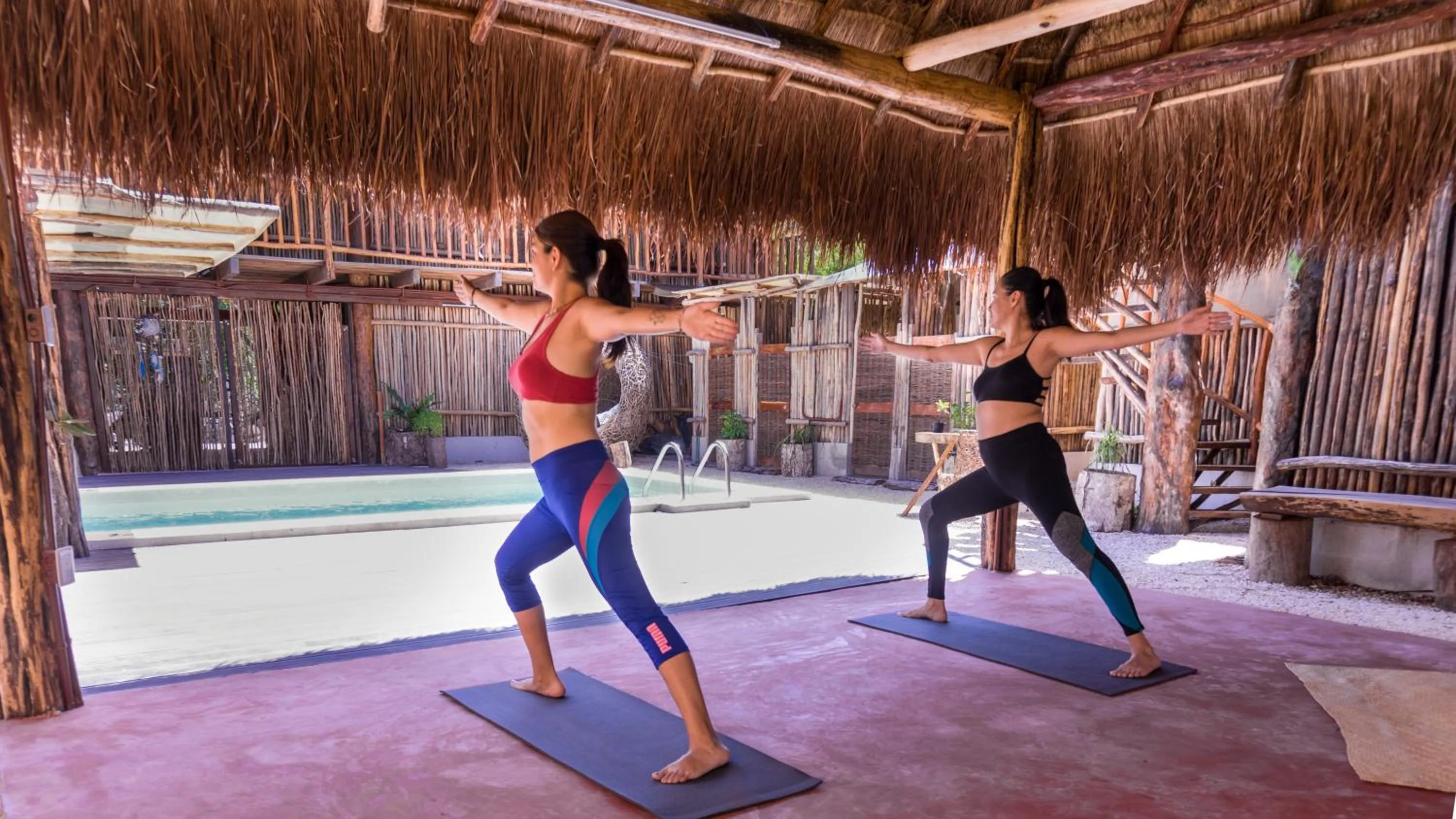 Activities in Jungla y Estrellas