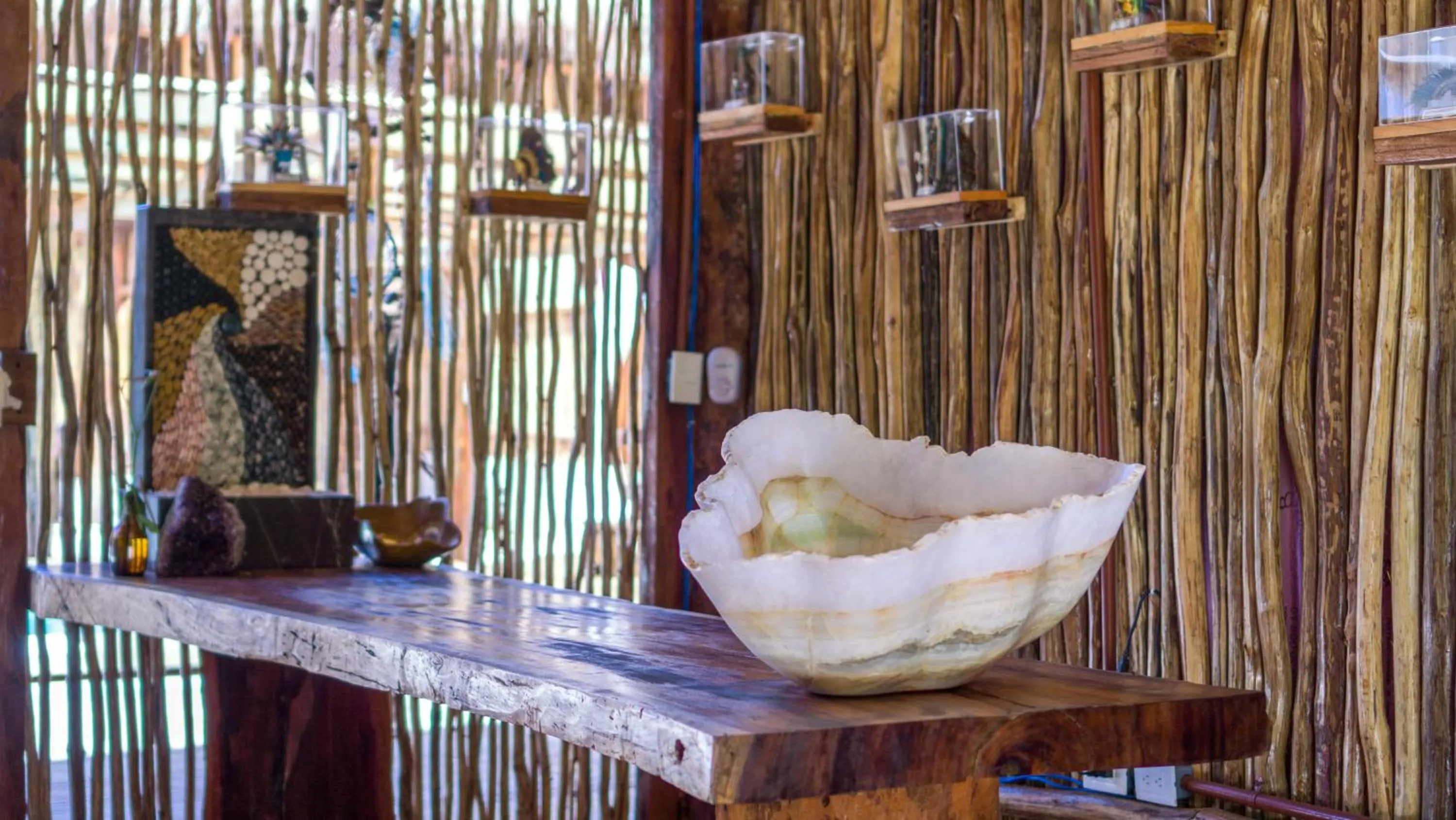 Lobby or reception in Jungla y Estrellas