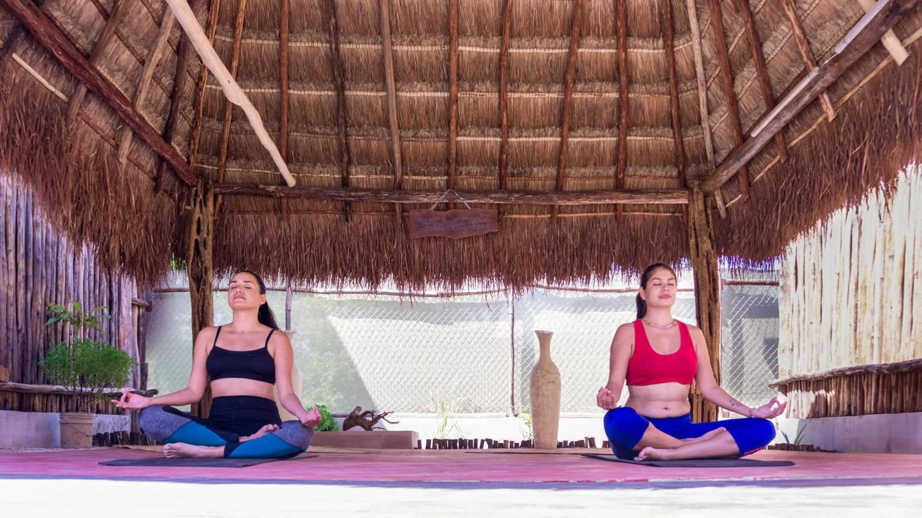 Activities in Jungla y Estrellas