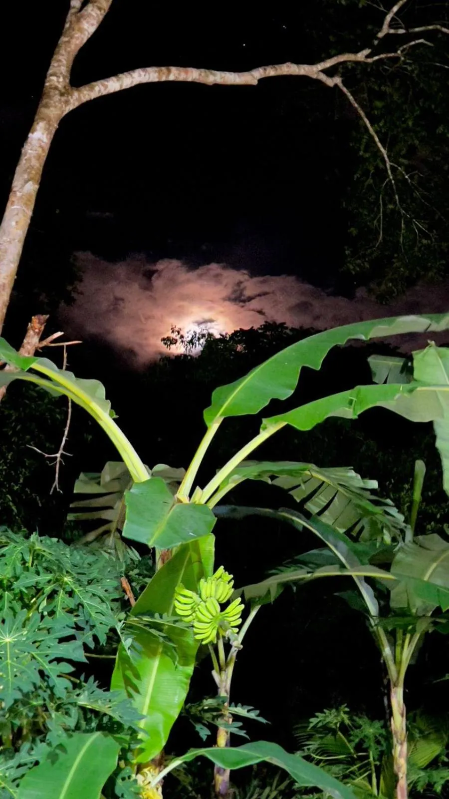 Natural landscape in Jungla y Estrellas