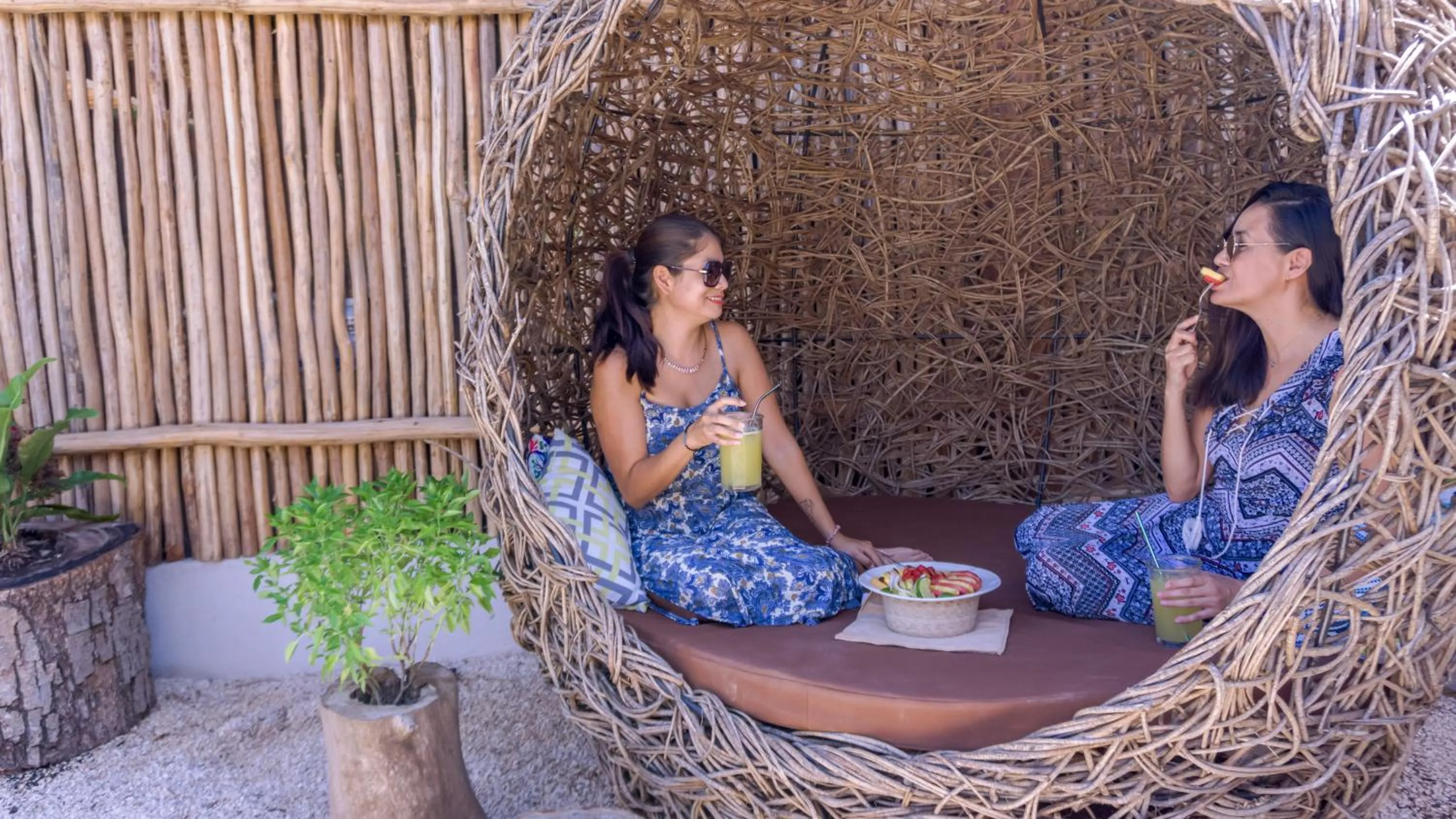 People in Jungla y Estrellas