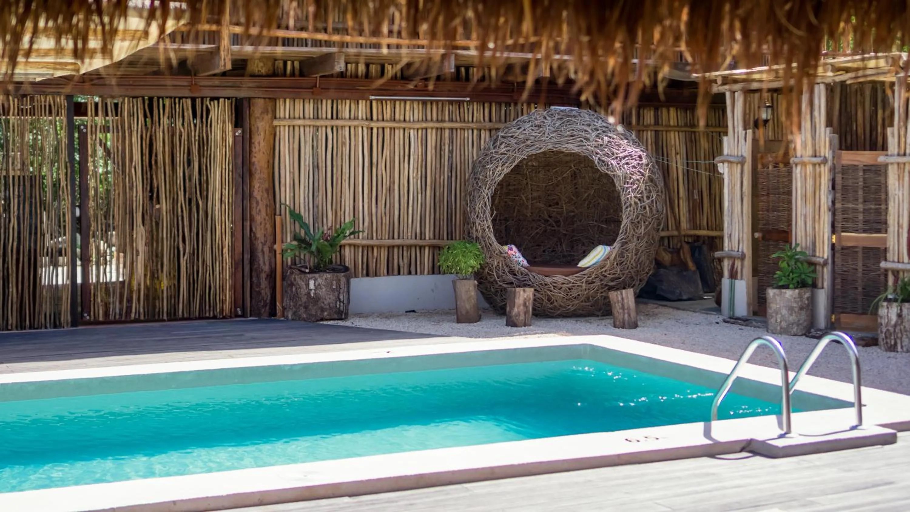 Swimming pool in Jungla y Estrellas