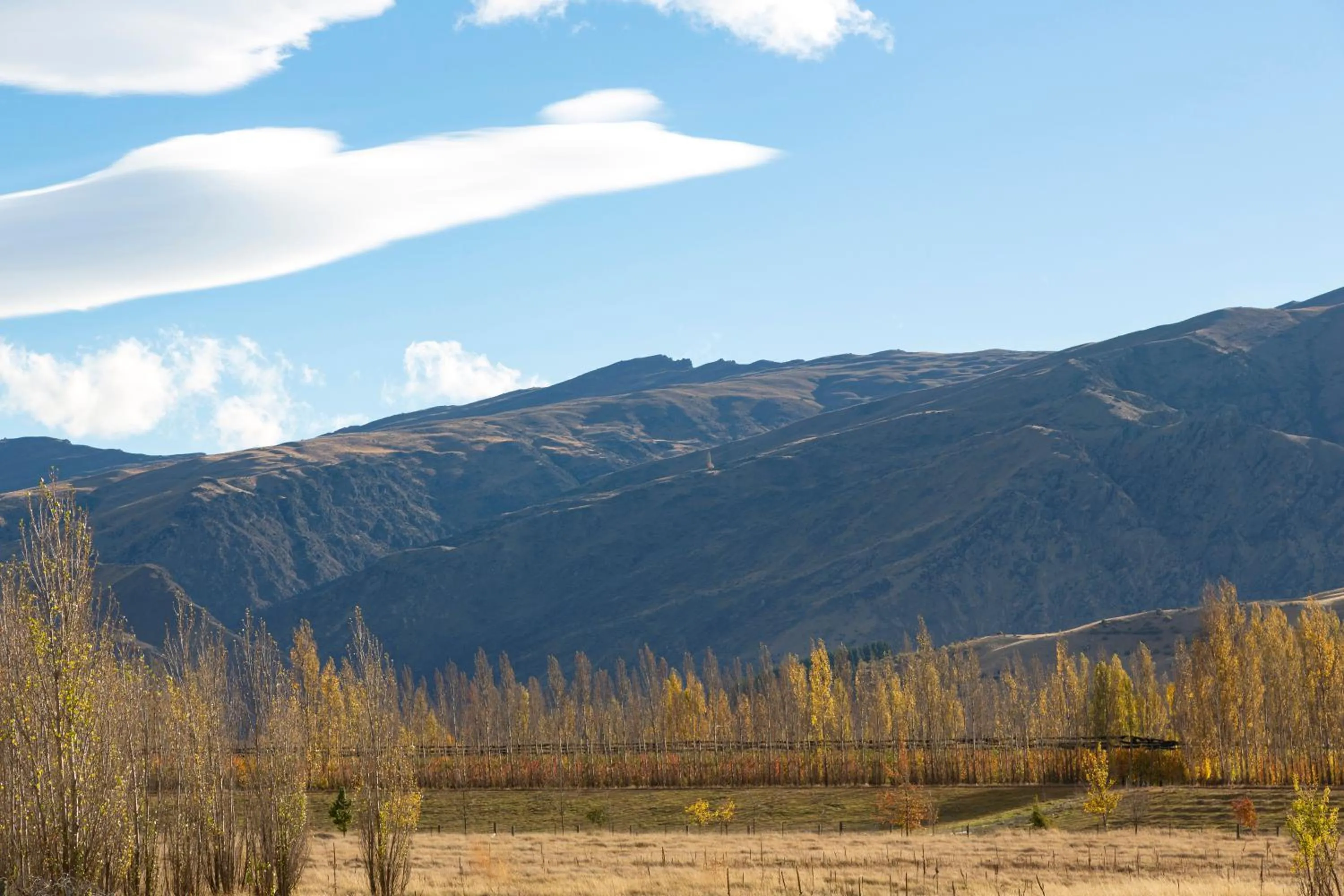 Natural landscape in Harvest Park Studios