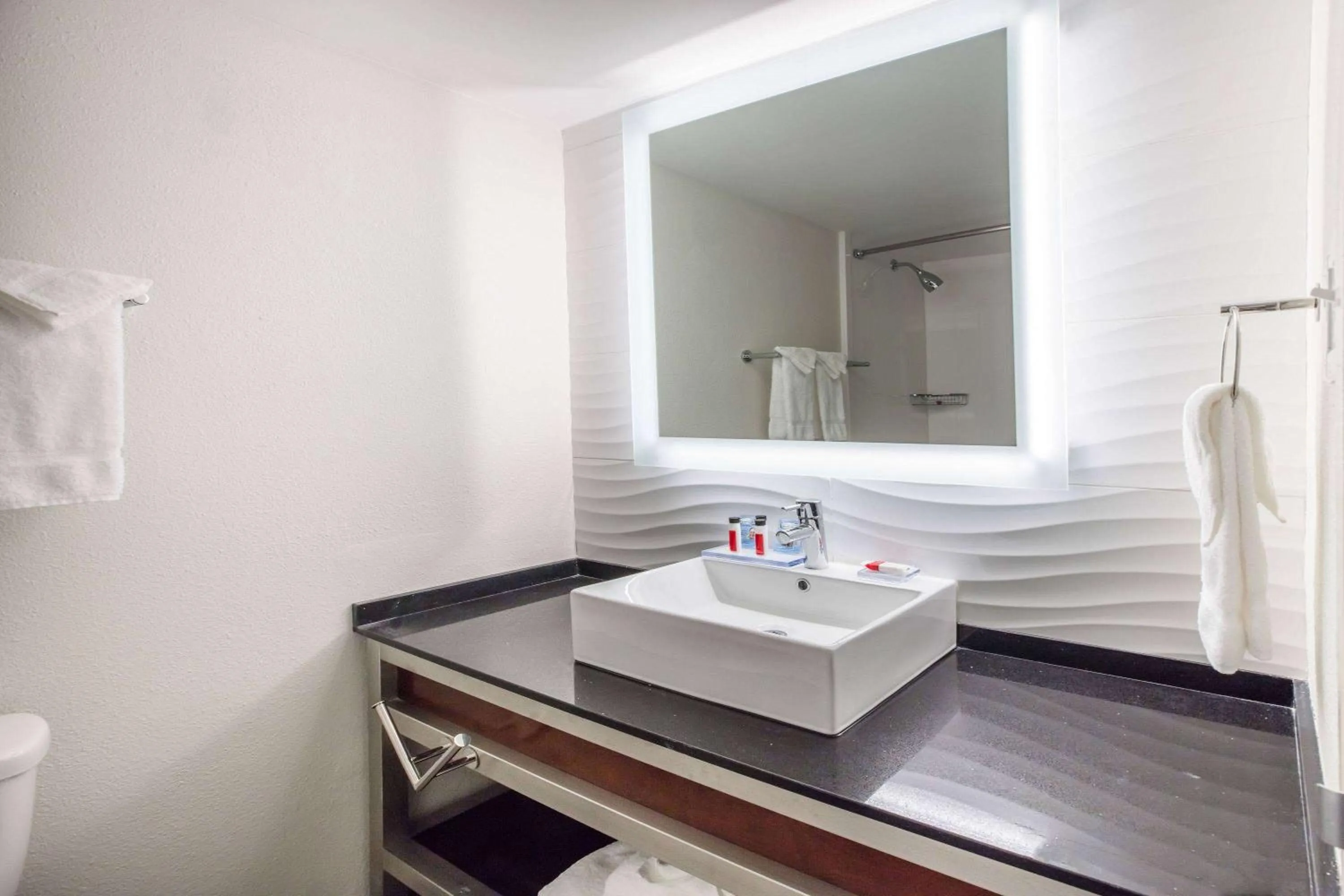 Bathroom in Ramada by Wyndham Austin South