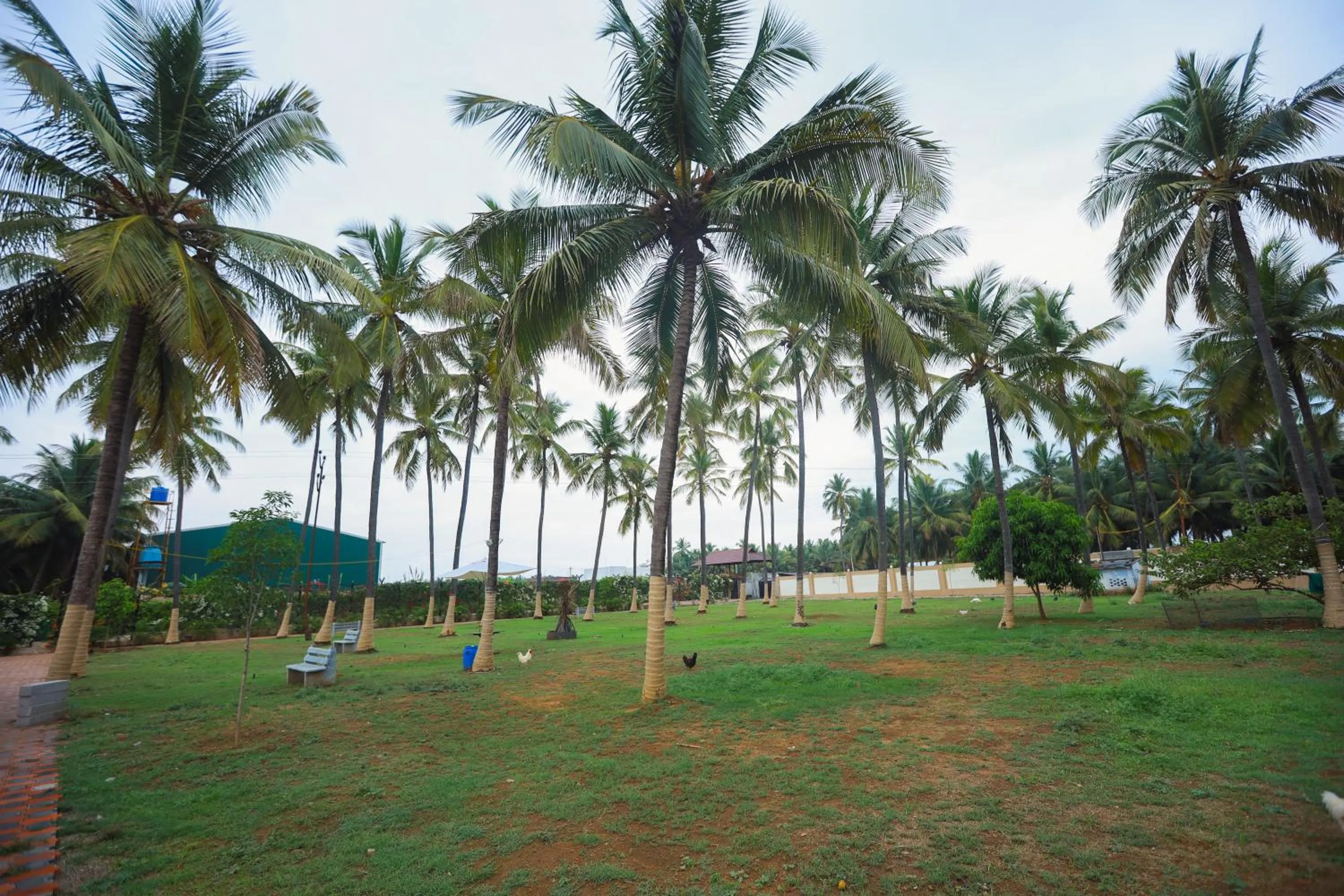 Property building in Royal Destiny Resort
