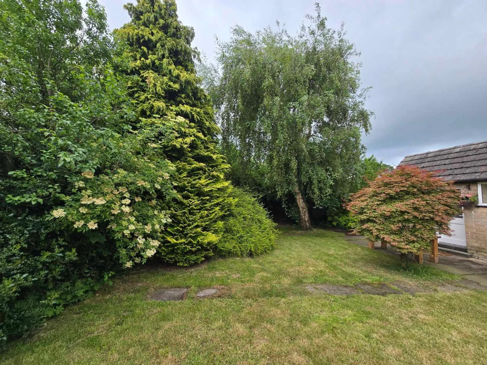 Natural landscape in The Shoulder at Hardstoft