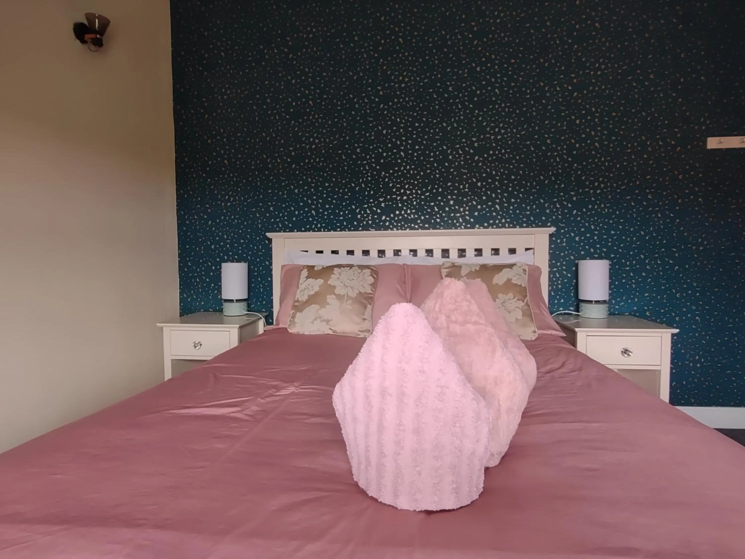 Bed in The Shoulder at Hardstoft