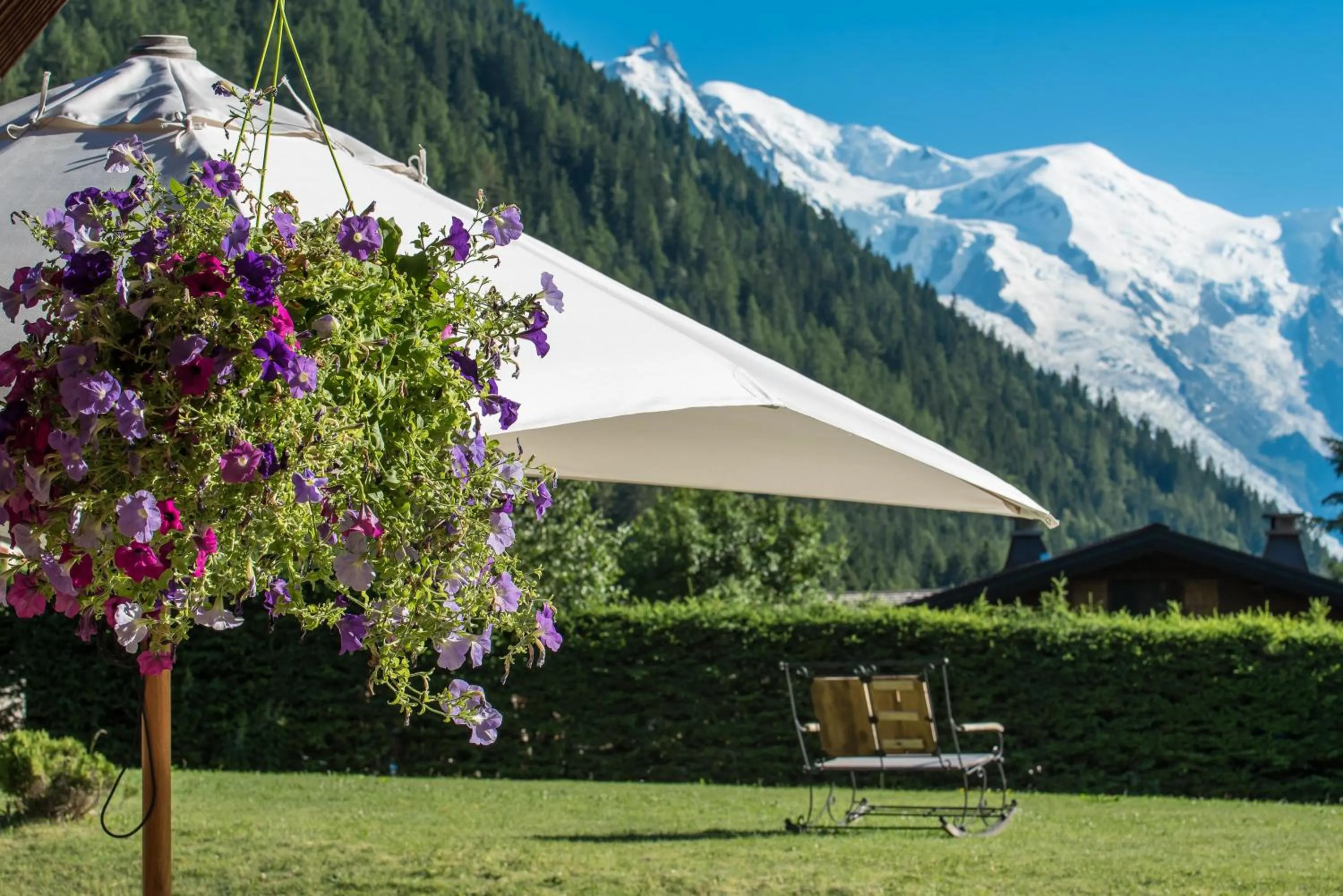 Mountain view in Les Grands Montets Hotel & Spa