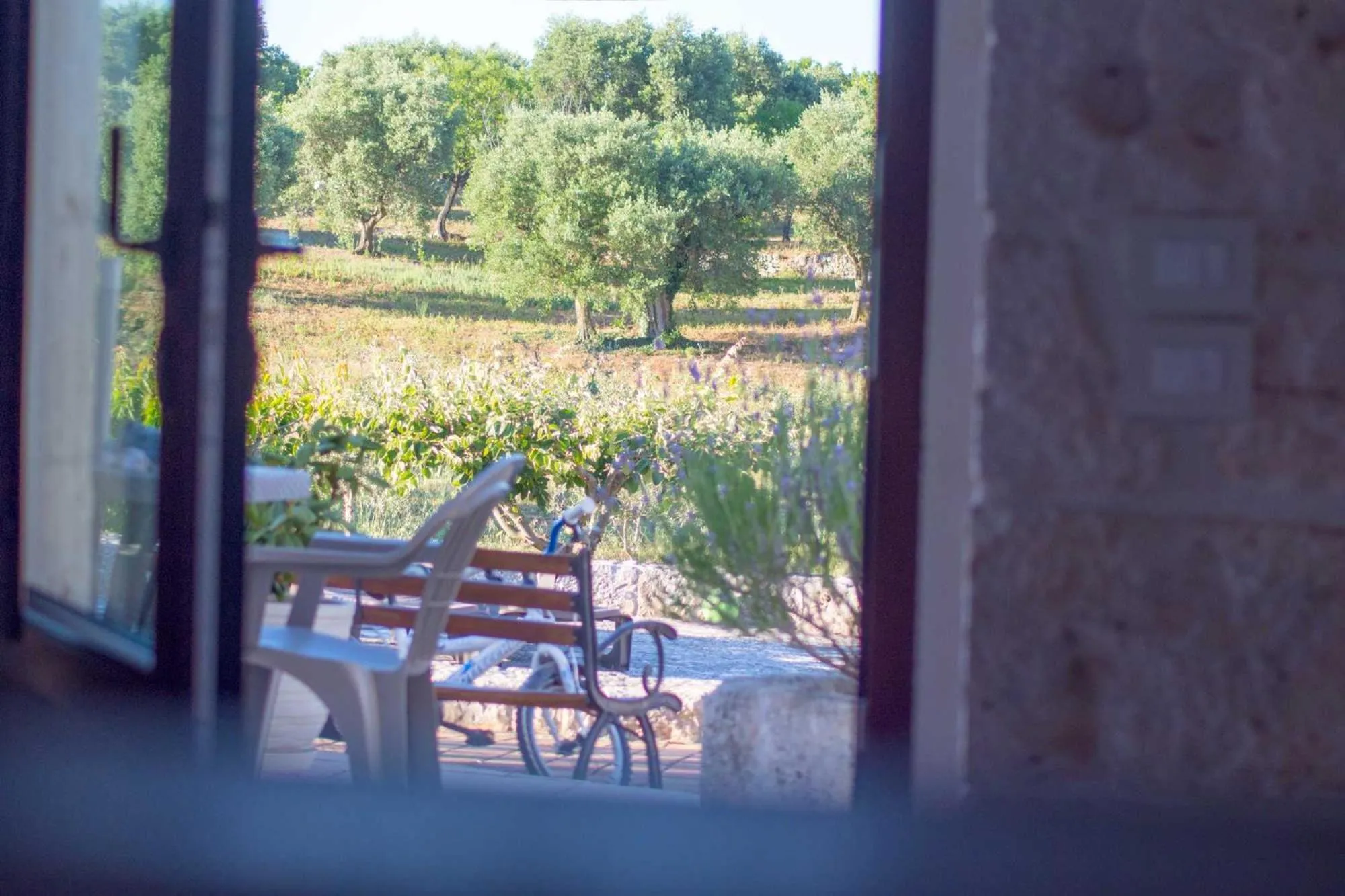 Garden view in Trullo Sweet Trullo