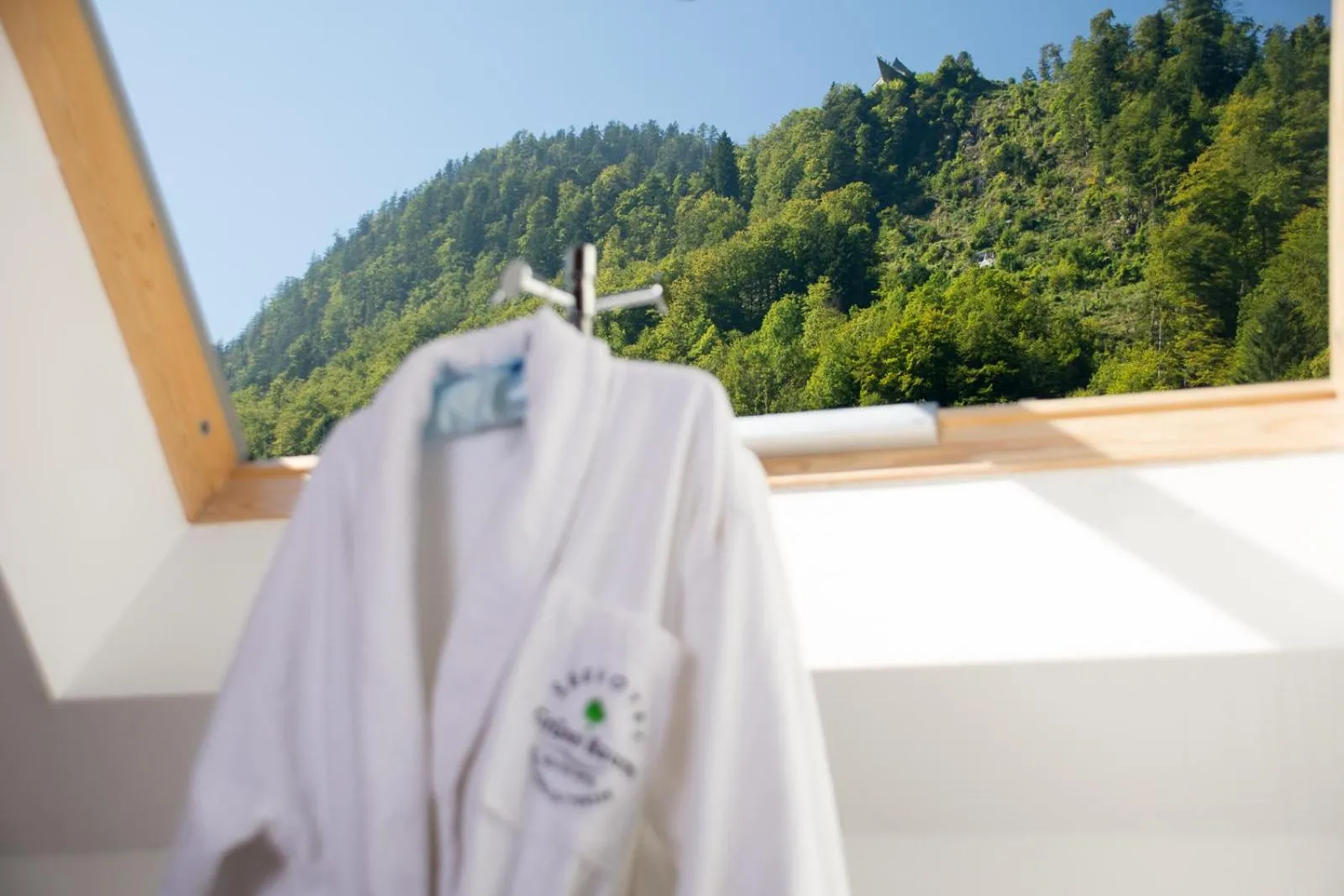 Decorative detail in Seehotel Grüner Baum