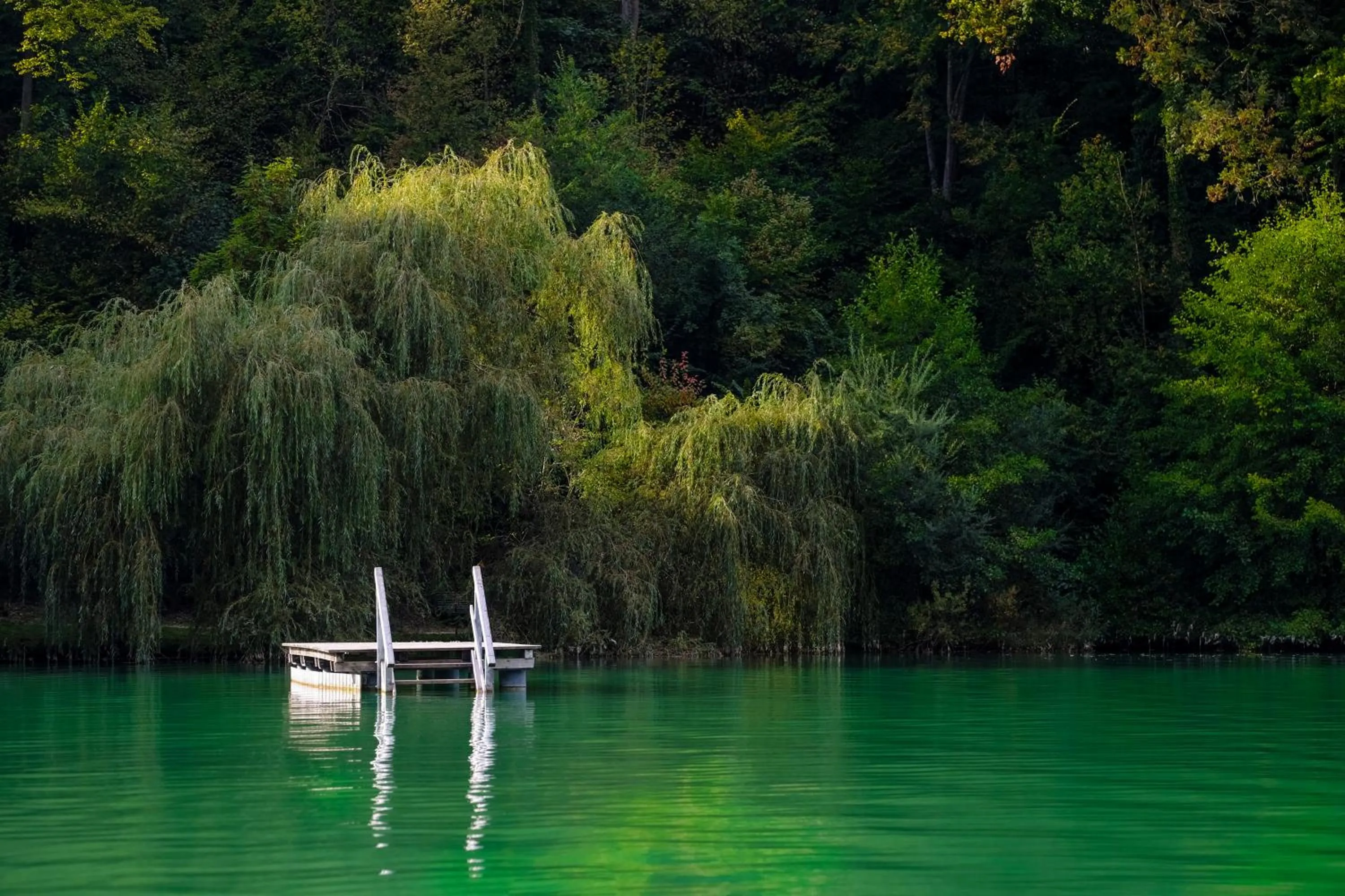 Natural landscape in Hotel Burgblick, bei Burghausen