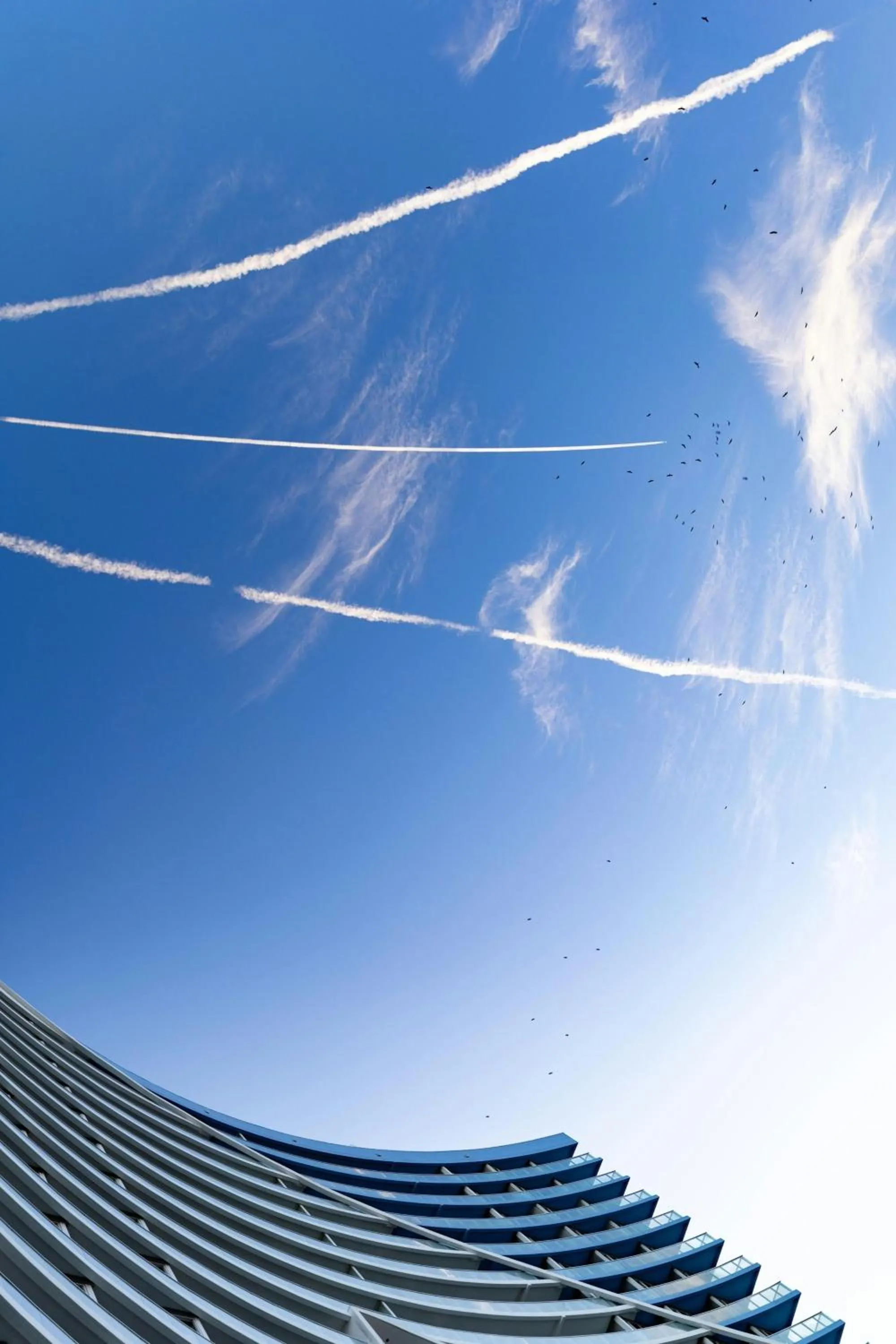 View (from property/room) in W Fort Lauderdale