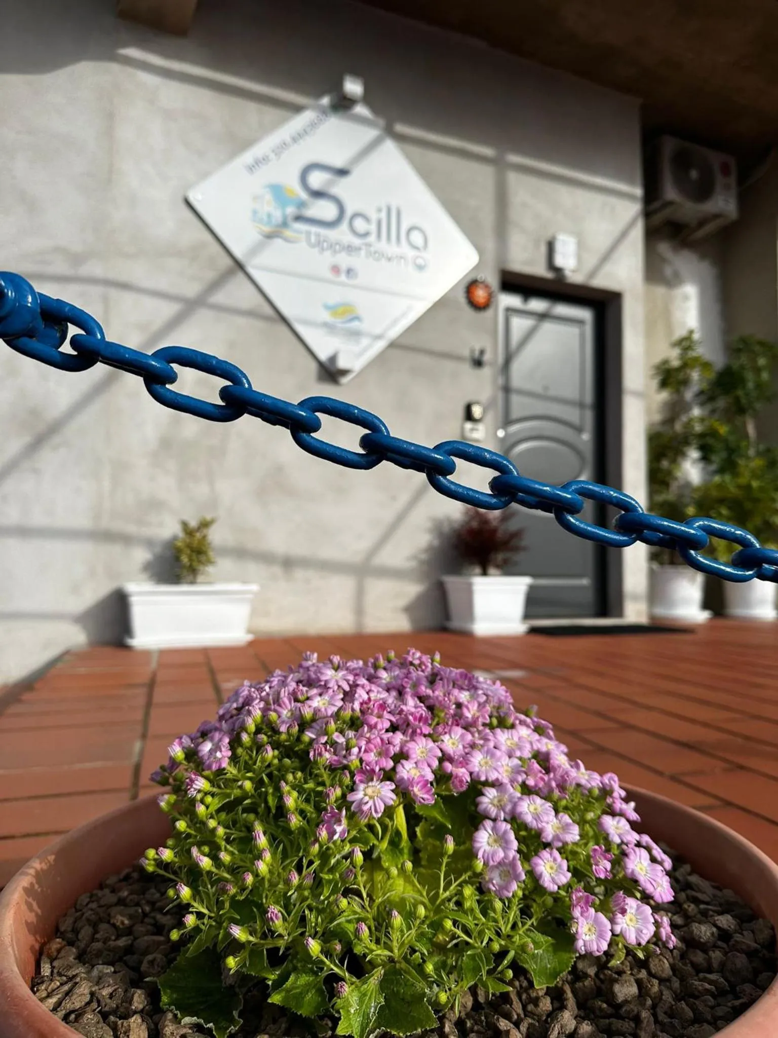 Property building in B&B Scilla Town