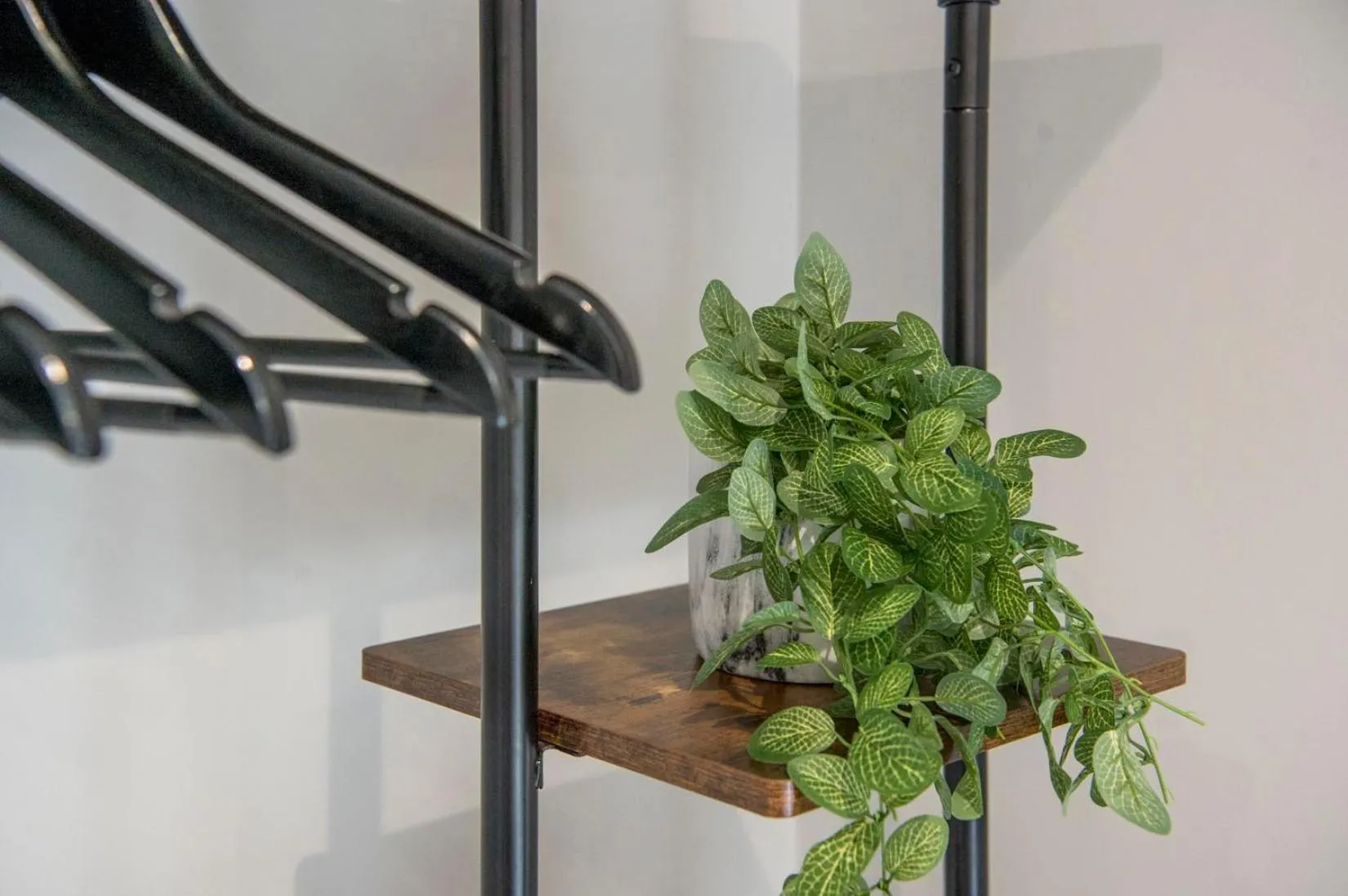 Other in The Quadrant - The Botanical Suite