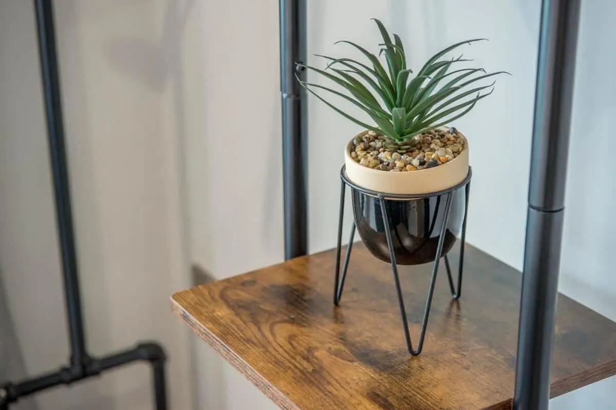 The Quadrant - The Botanical Suite