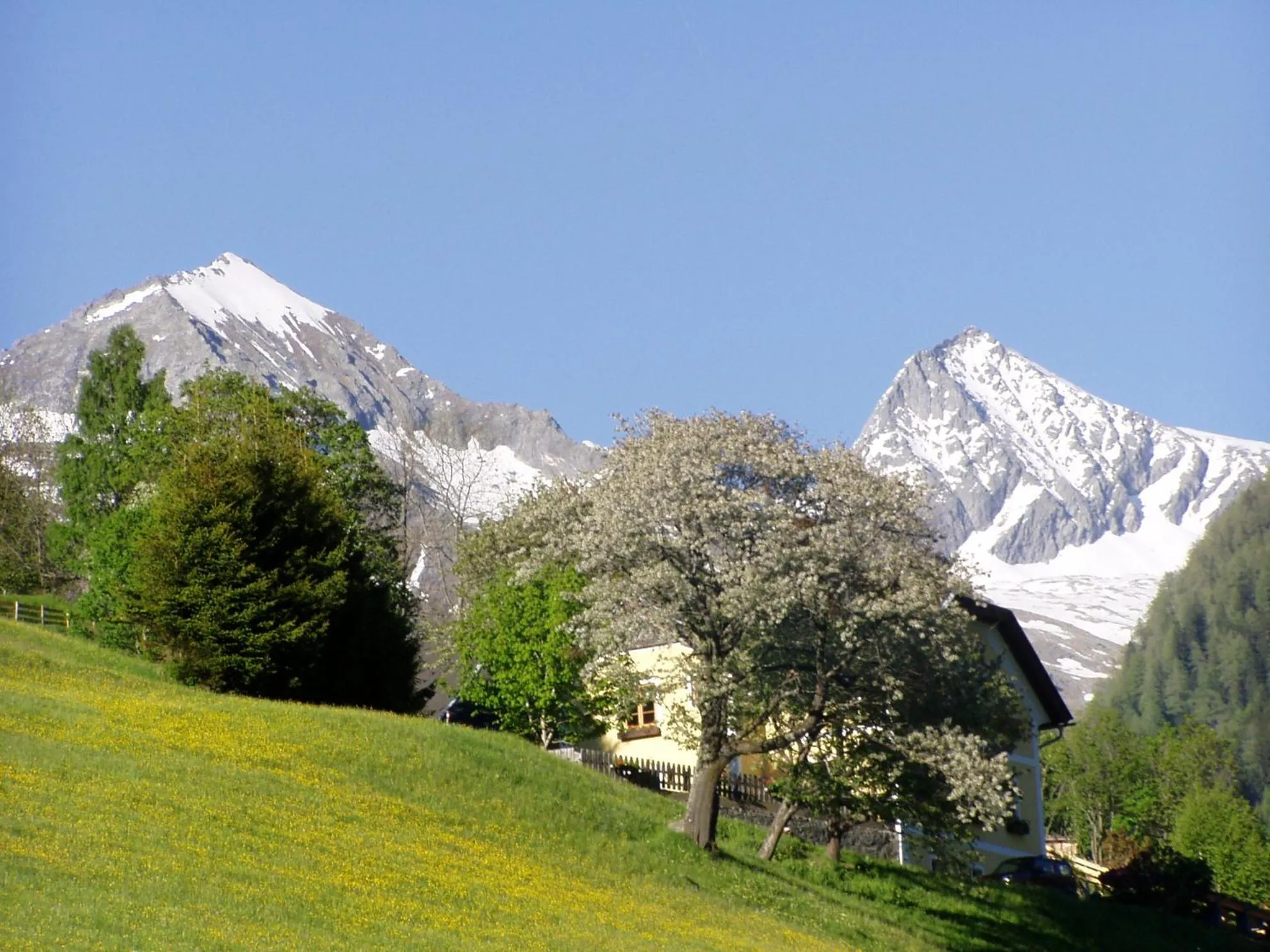 Spring in Apartments Hohenberger Mallnitz - Mein Platz in den Bergen!