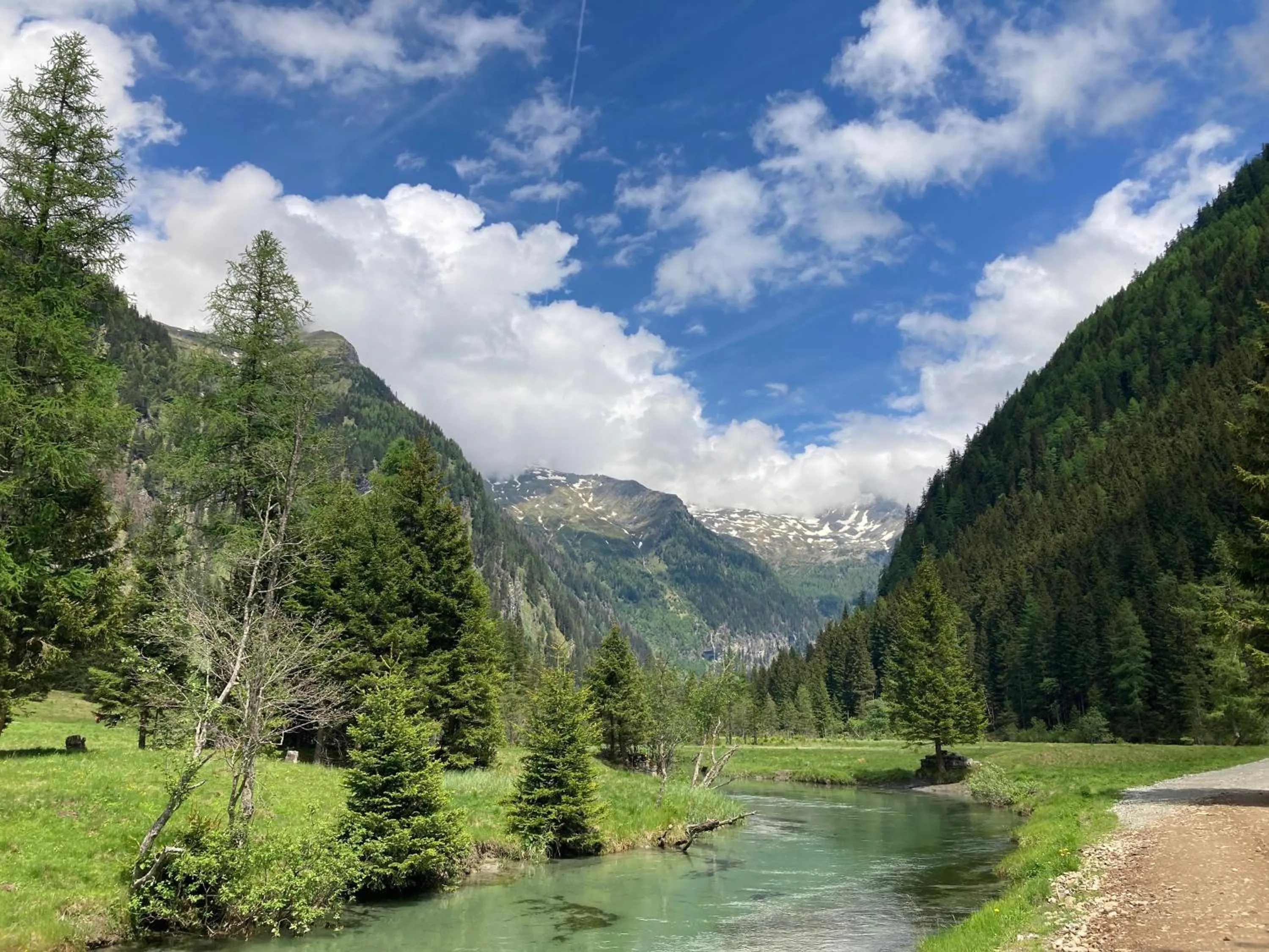 Summer in Apartments Hohenberger Mallnitz - Mein Platz in den Bergen!