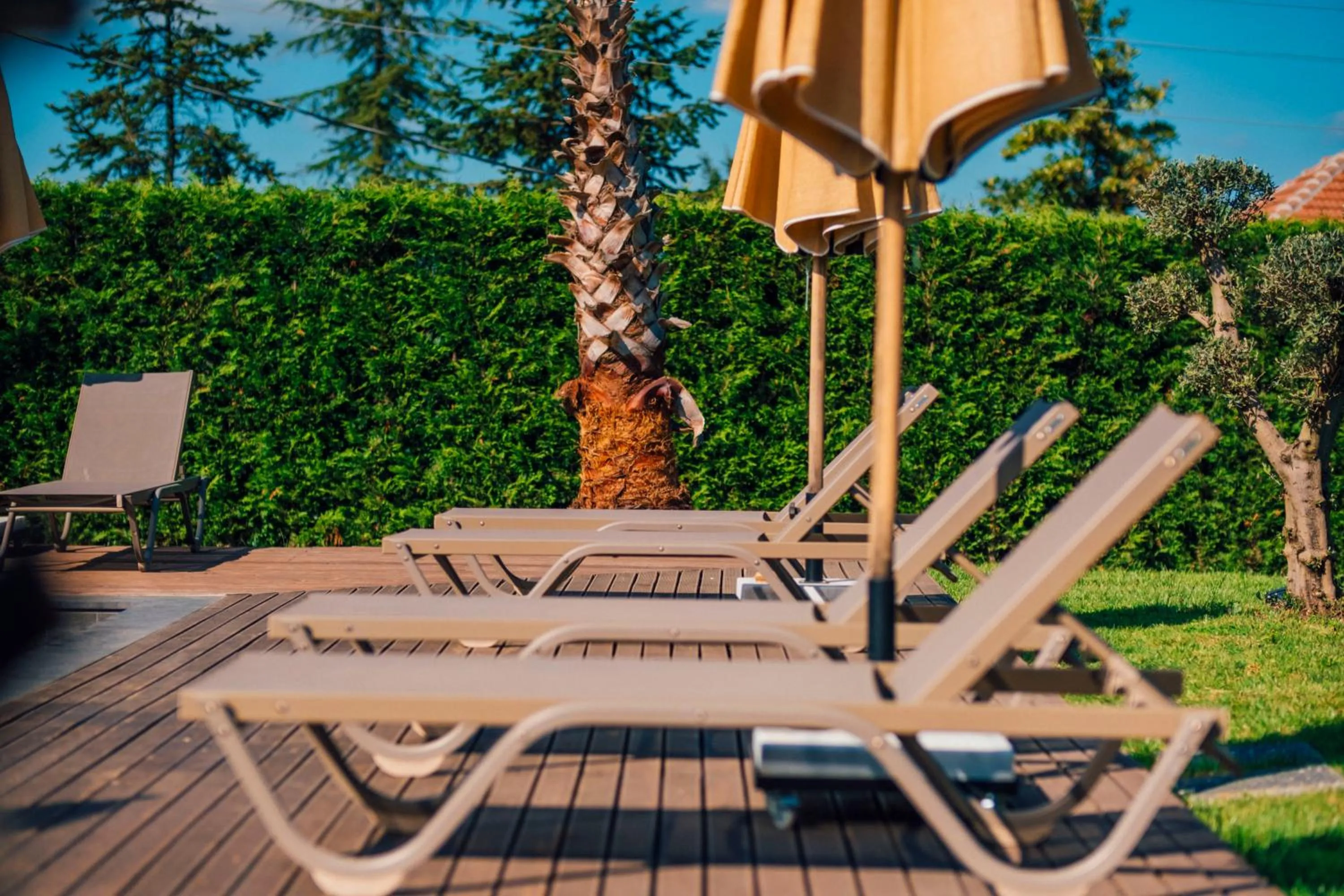 Spring in Babil Bungalow Boutique Hotel