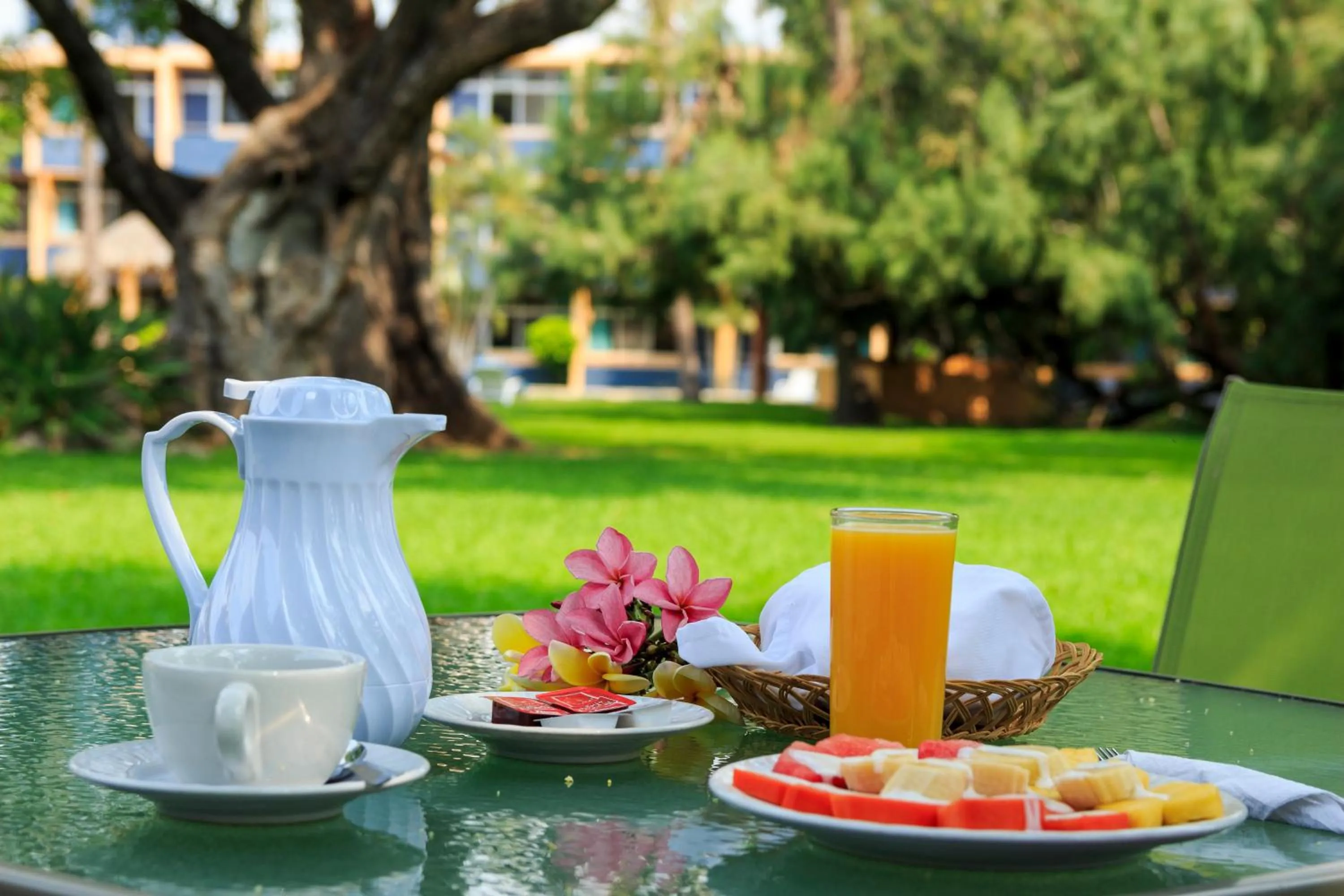Garden in Hotel Calli