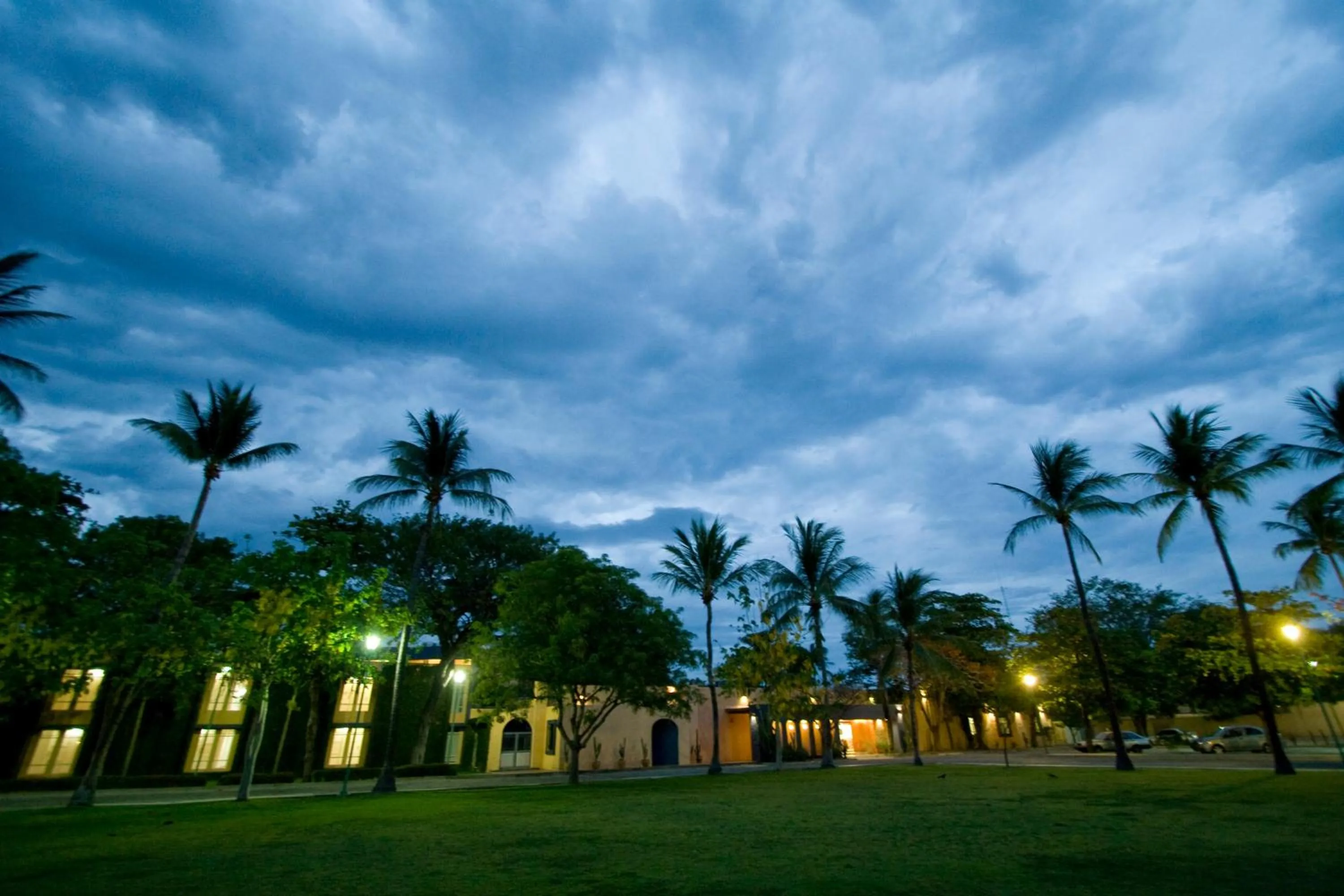 Garden in Hotel Calli